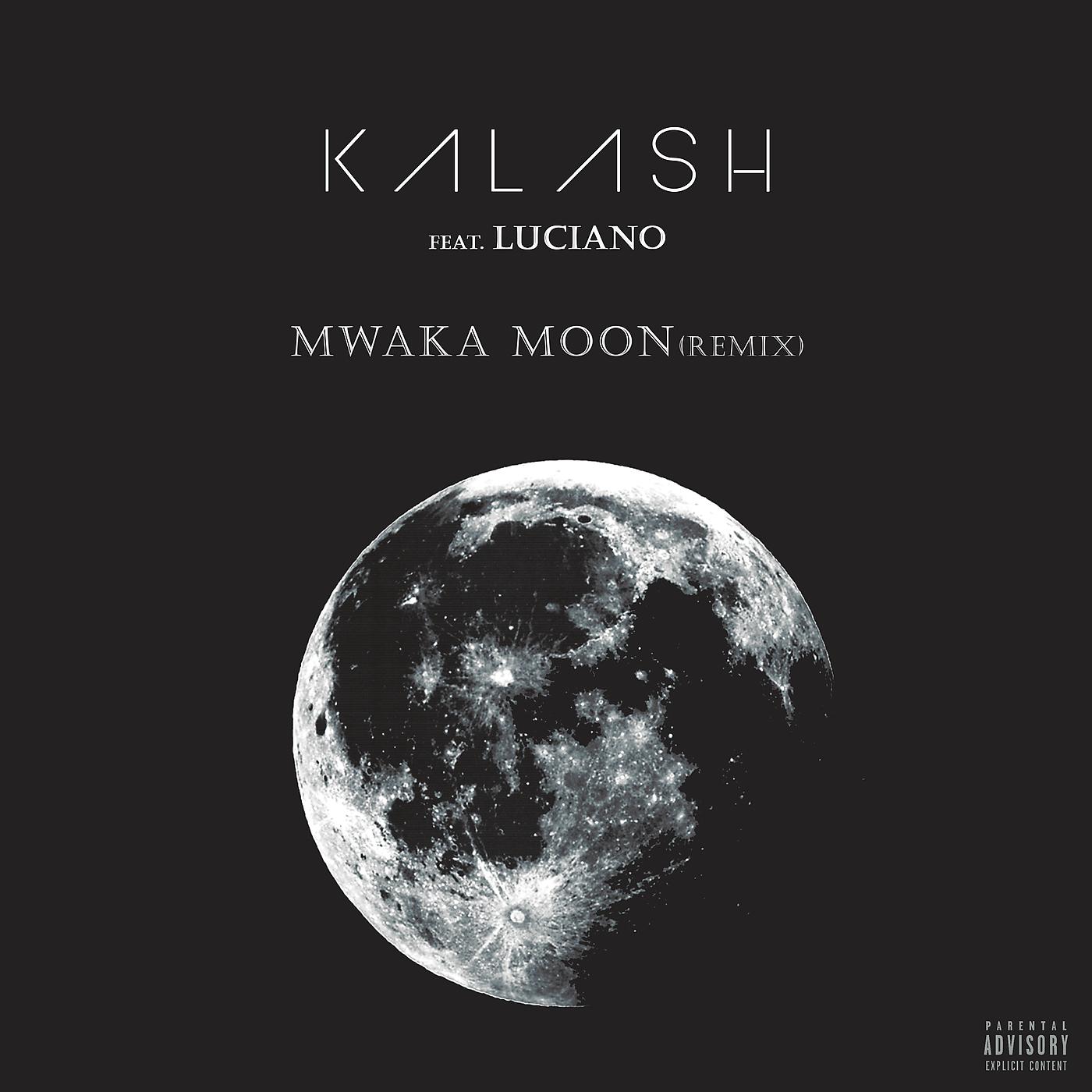 Постер альбома Mwaka Moon (Remix)
