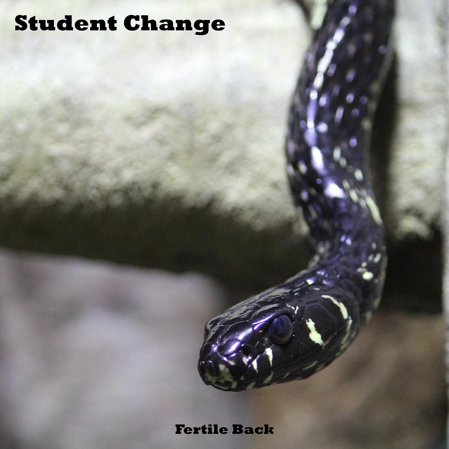 Постер альбома Student Change