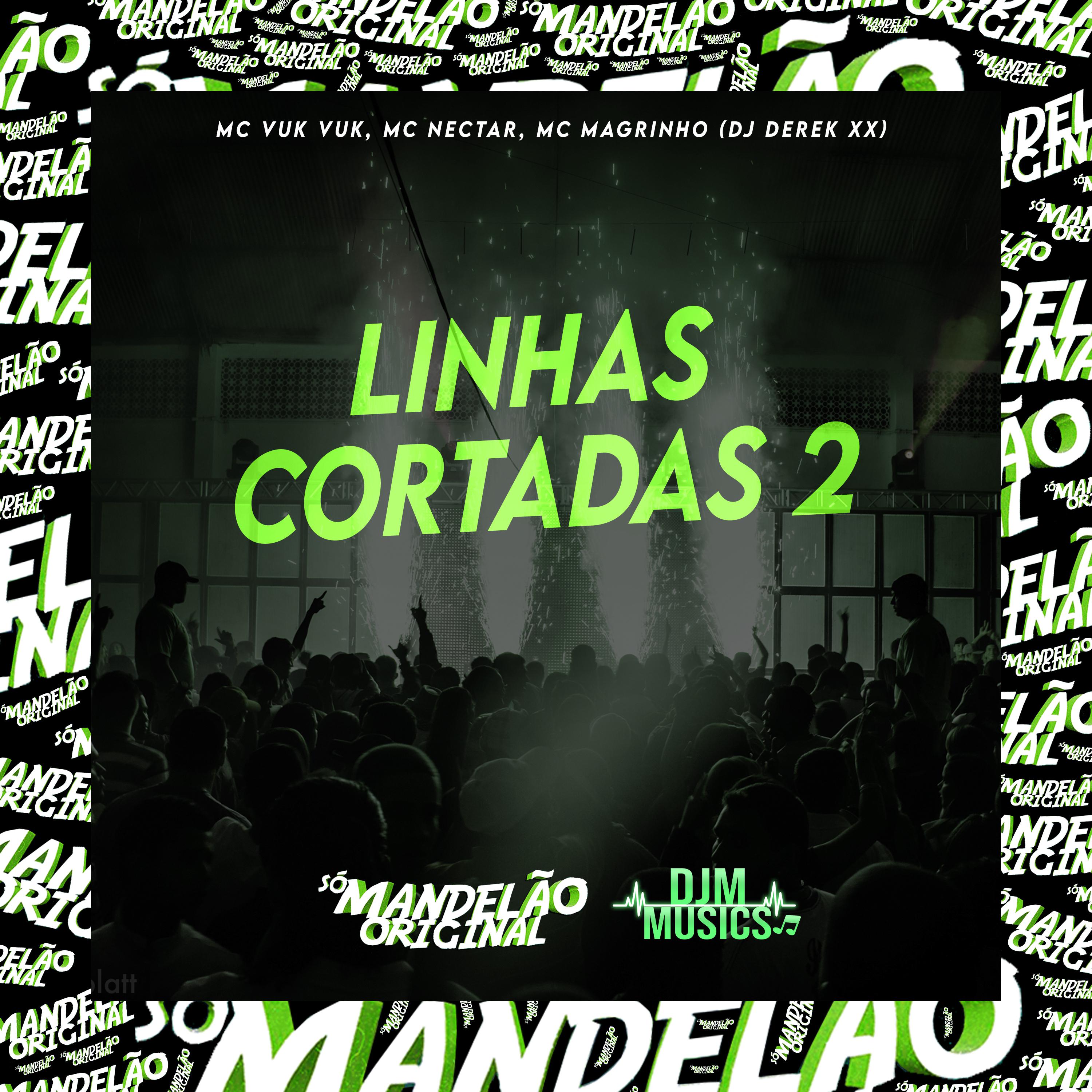 Постер альбома Linhas Cortadas 2