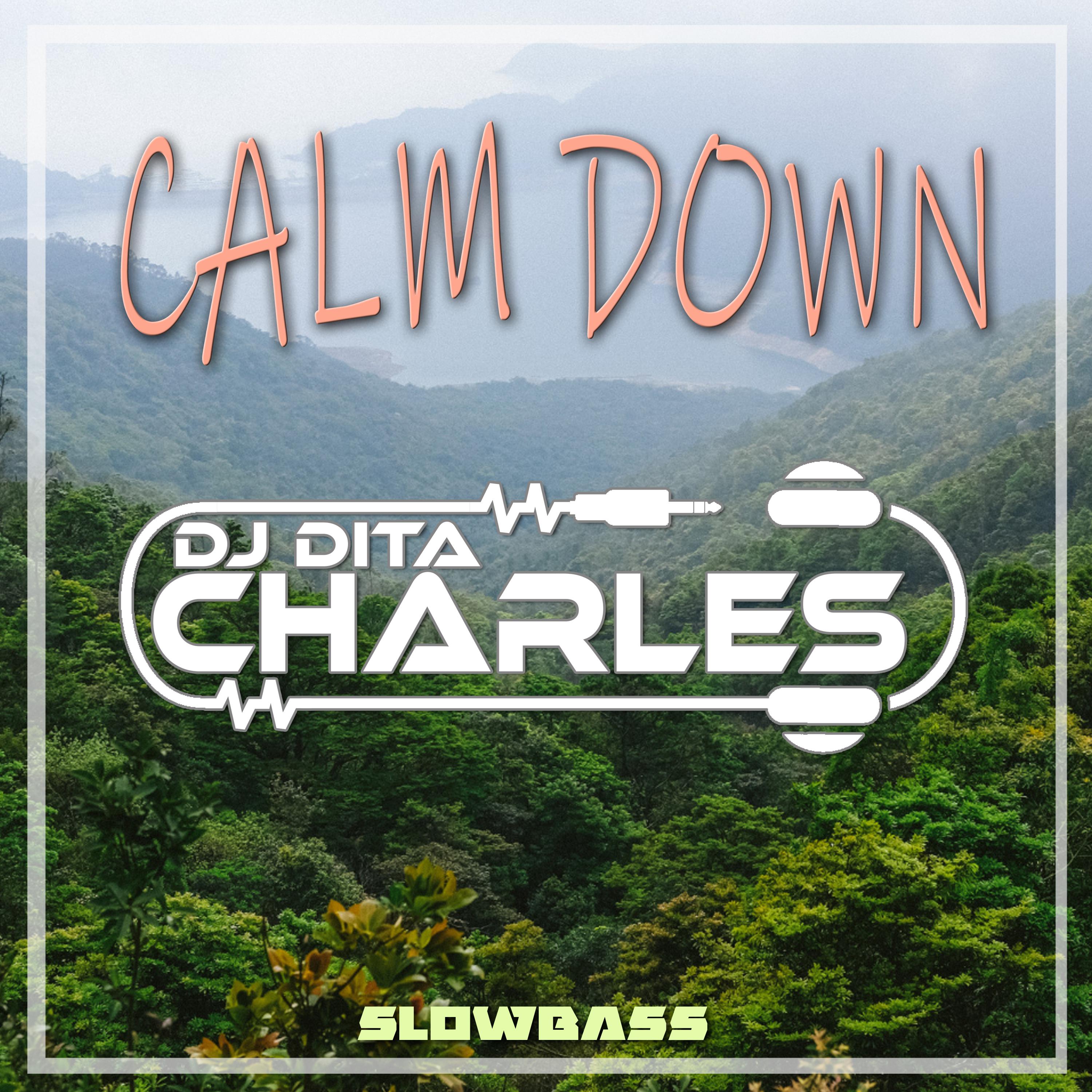 Постер альбома Calm Down Slowbass