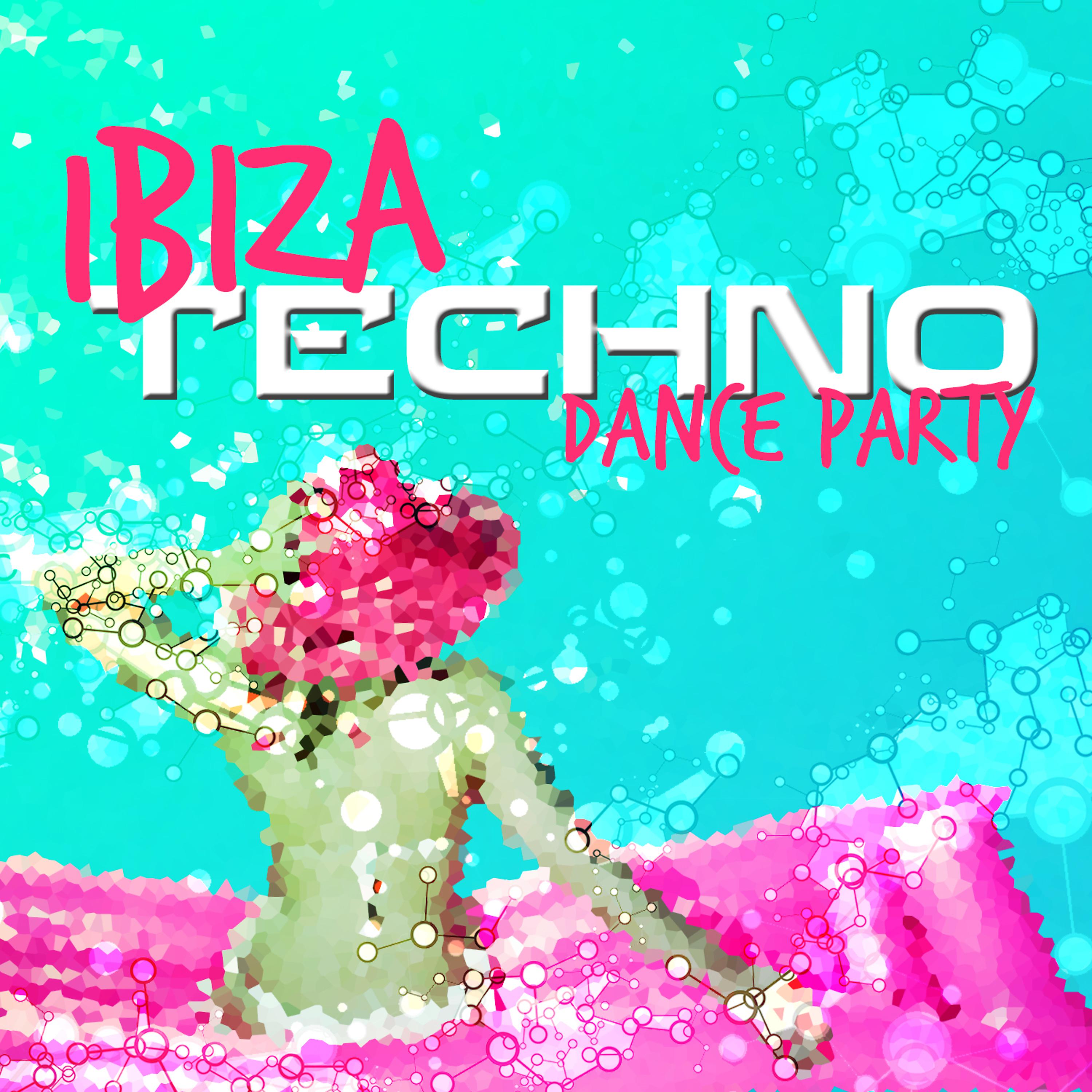 Постер альбома Ibiza Techno Dance Party