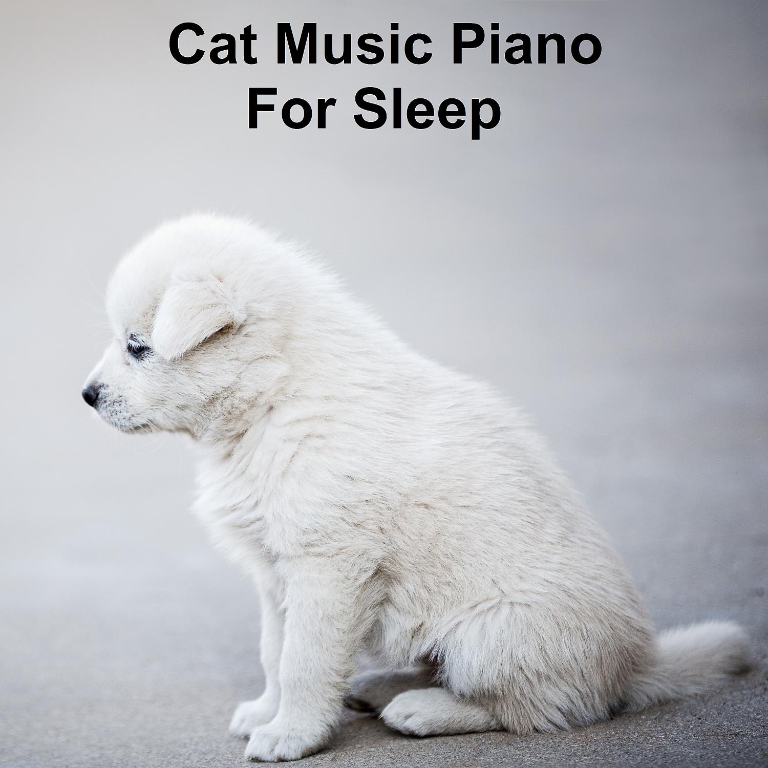 Постер альбома Cat Music Piano For Sleep
