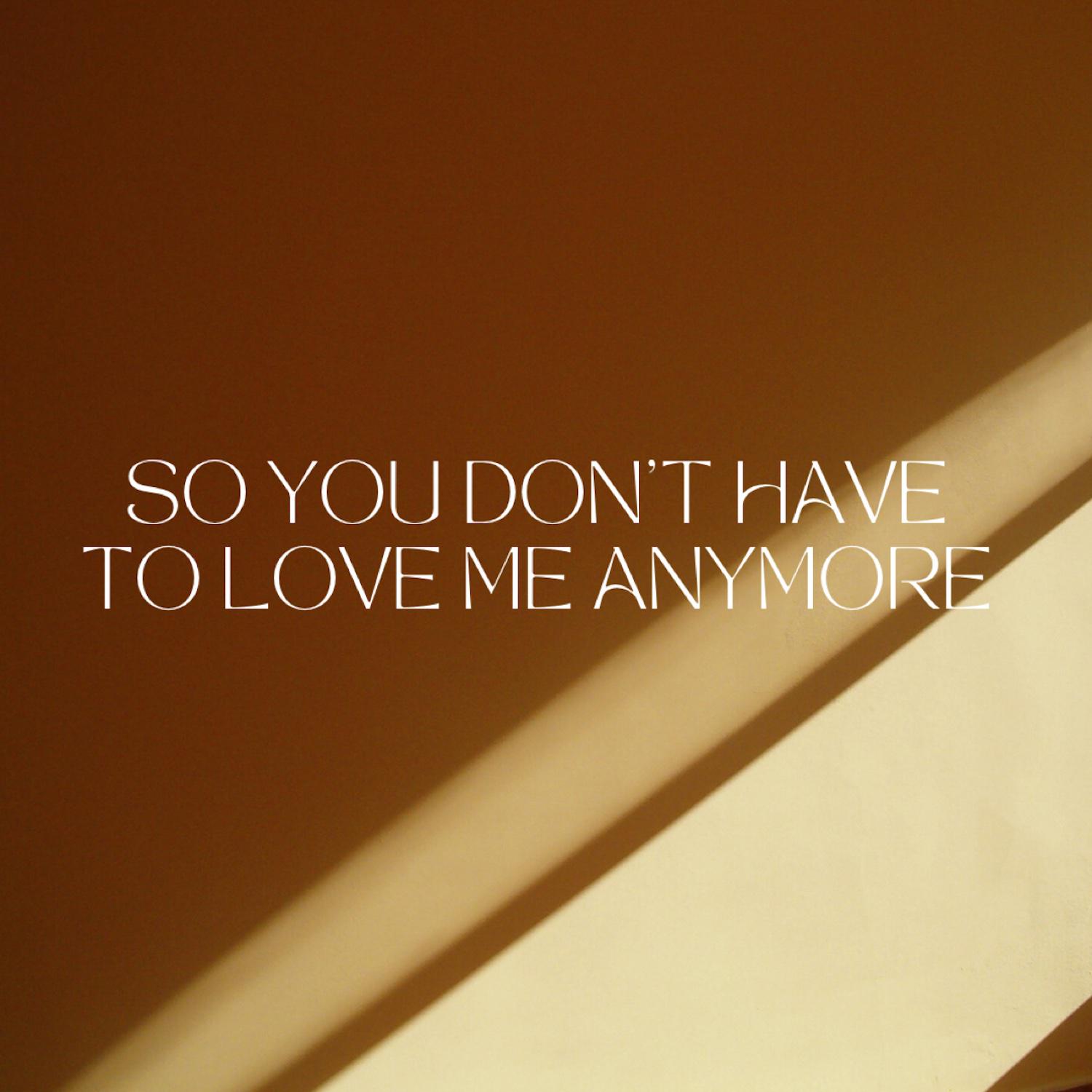 Постер альбома So You Don't Have To Love Me Anymore