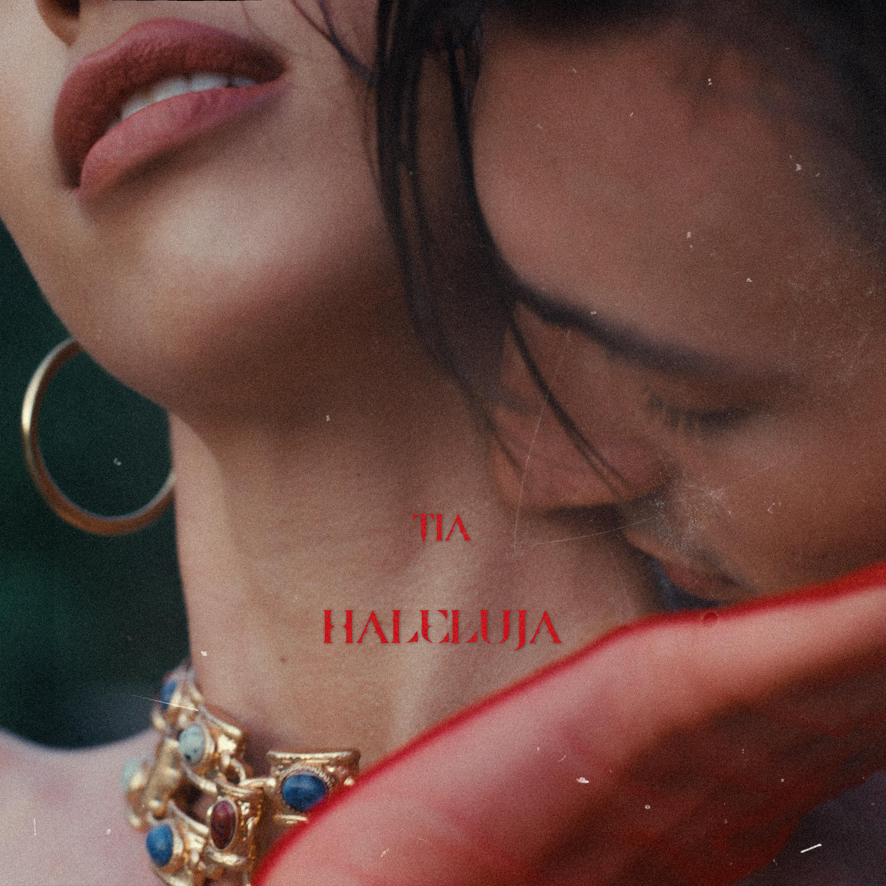 Постер альбома Haleluja