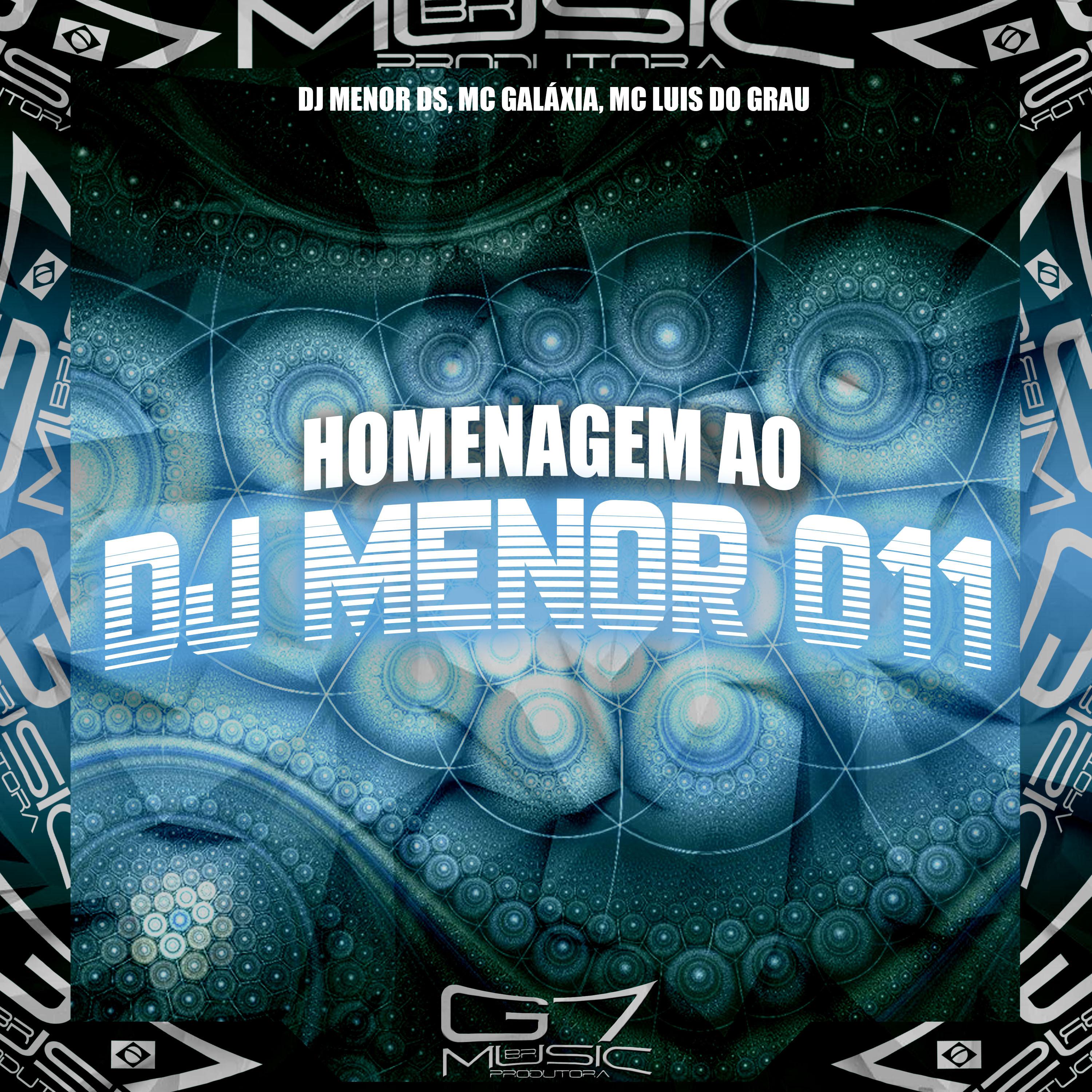 Постер альбома Homenagem ao Dj Menor 011