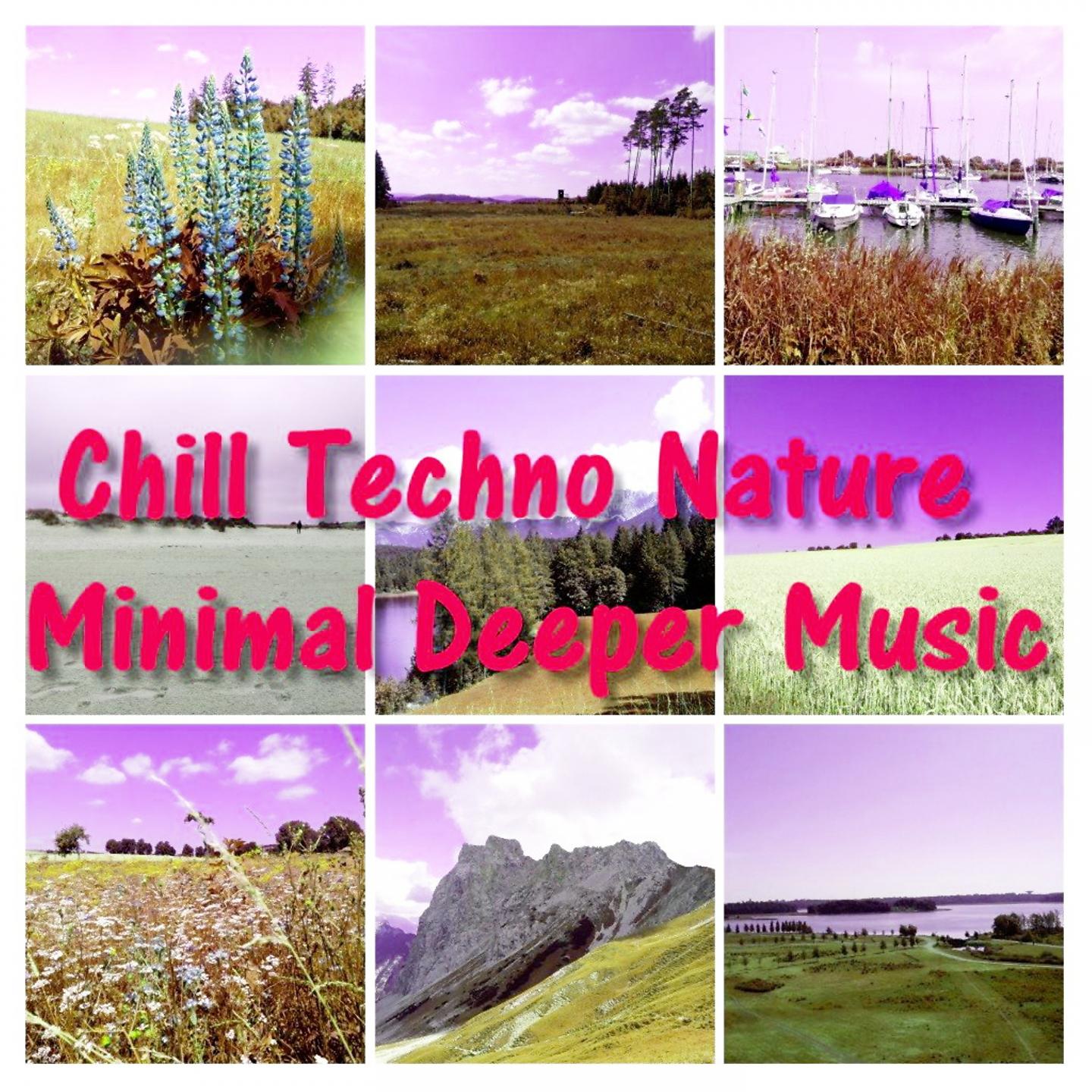 Постер альбома Chill Techno Nature