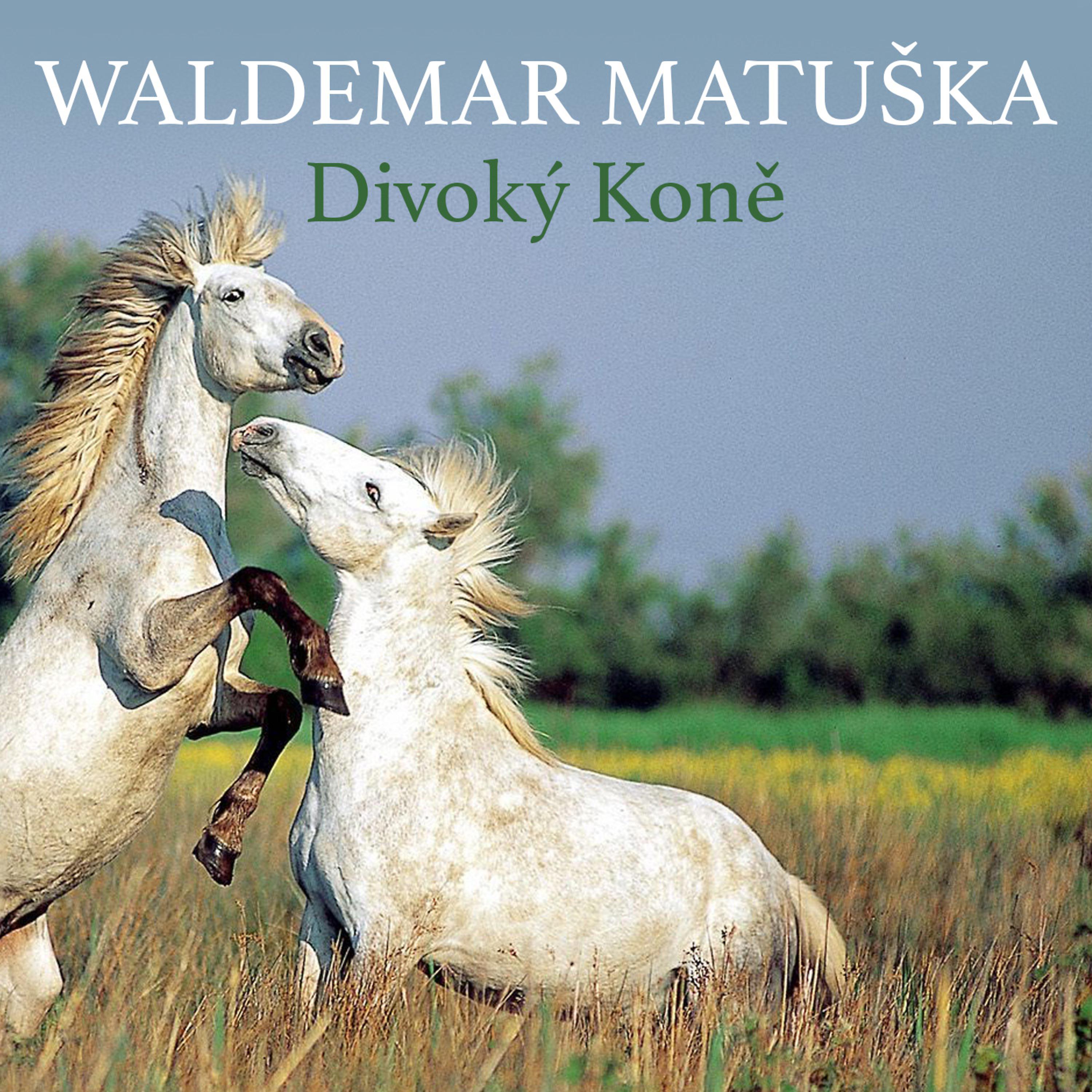 Постер альбома Divoký Koně