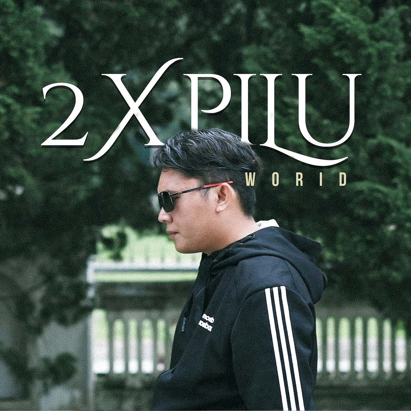 Постер альбома 2X Pilu