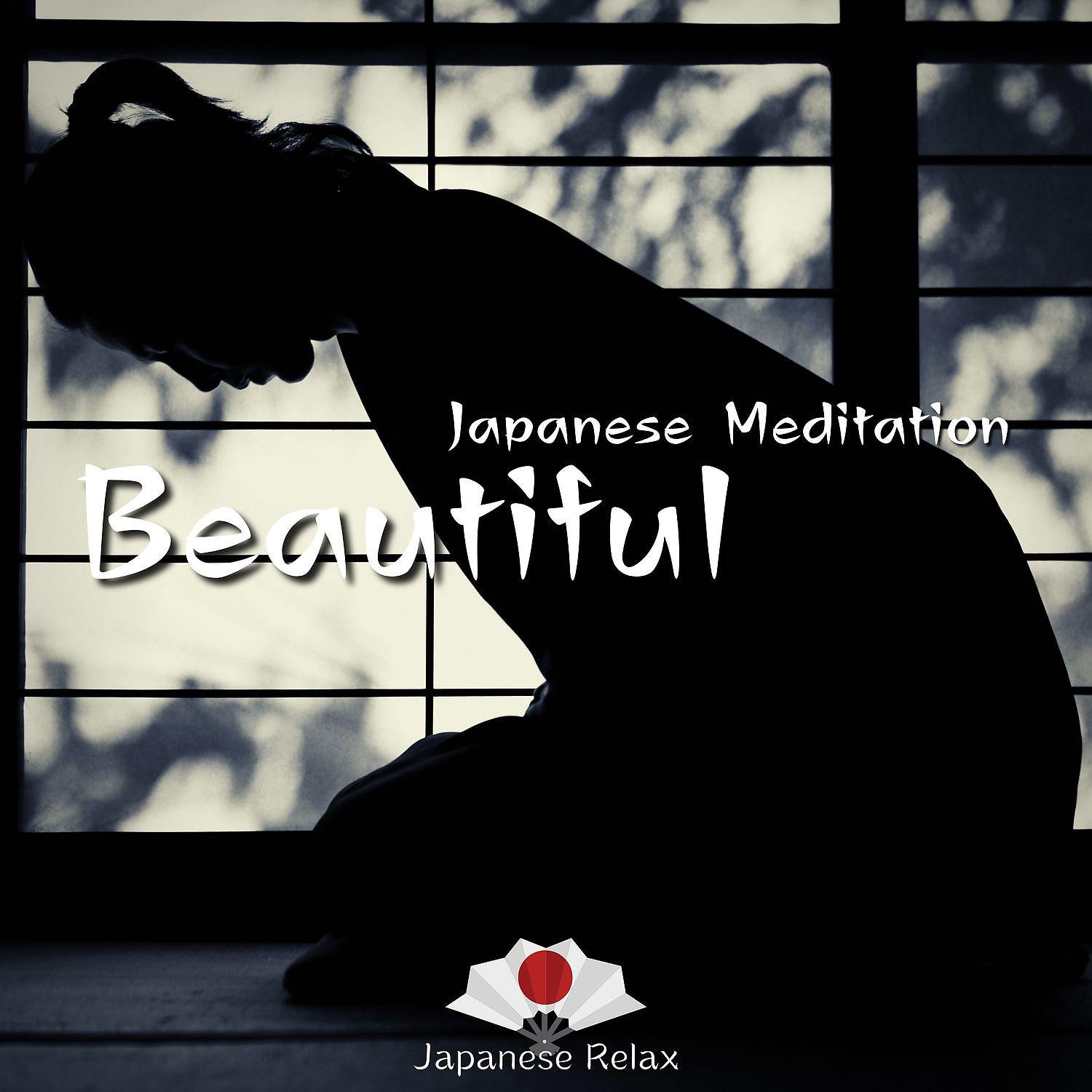 Постер альбома Beautiful Japanese Meditation