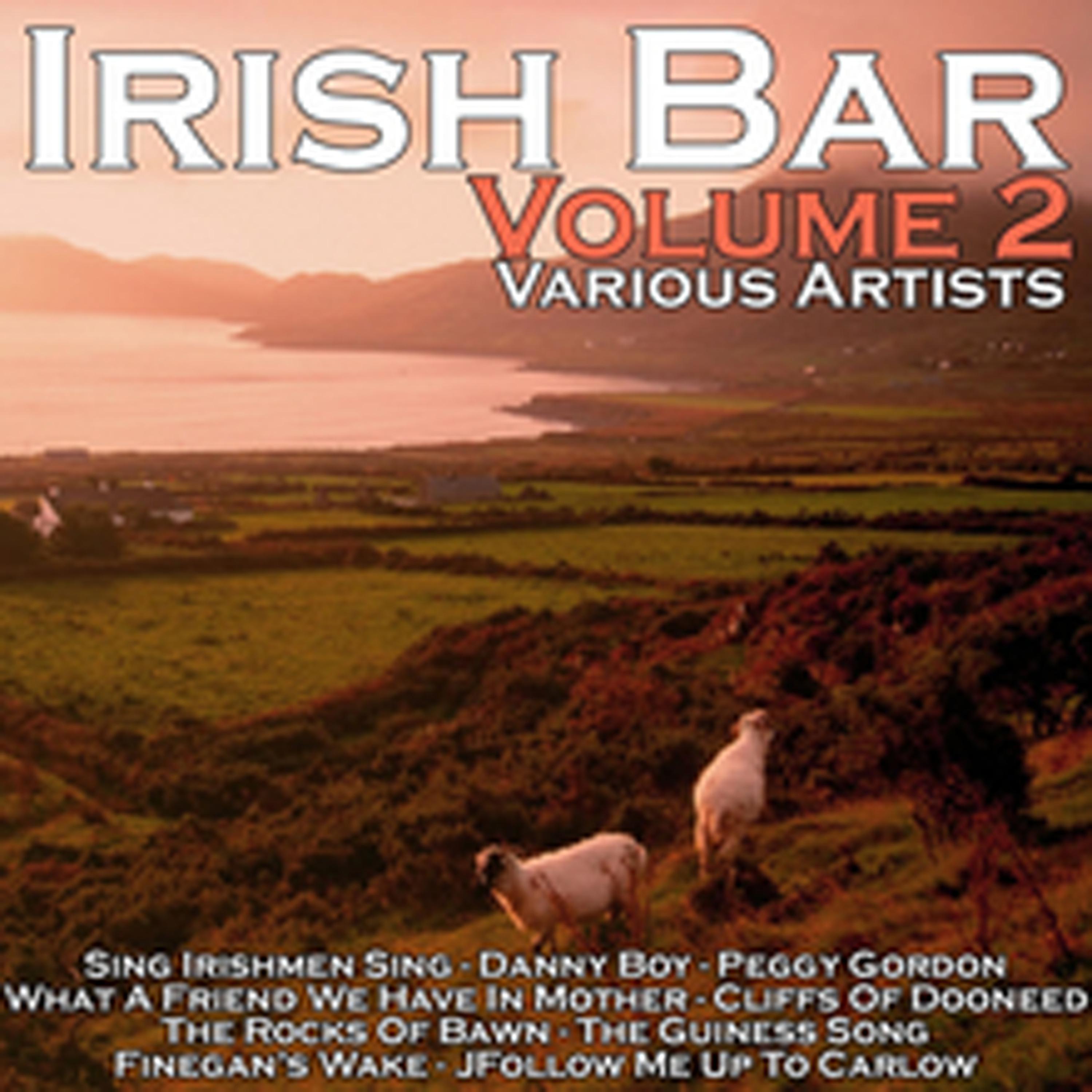 Постер альбома Irish Bar, Vol. 2
