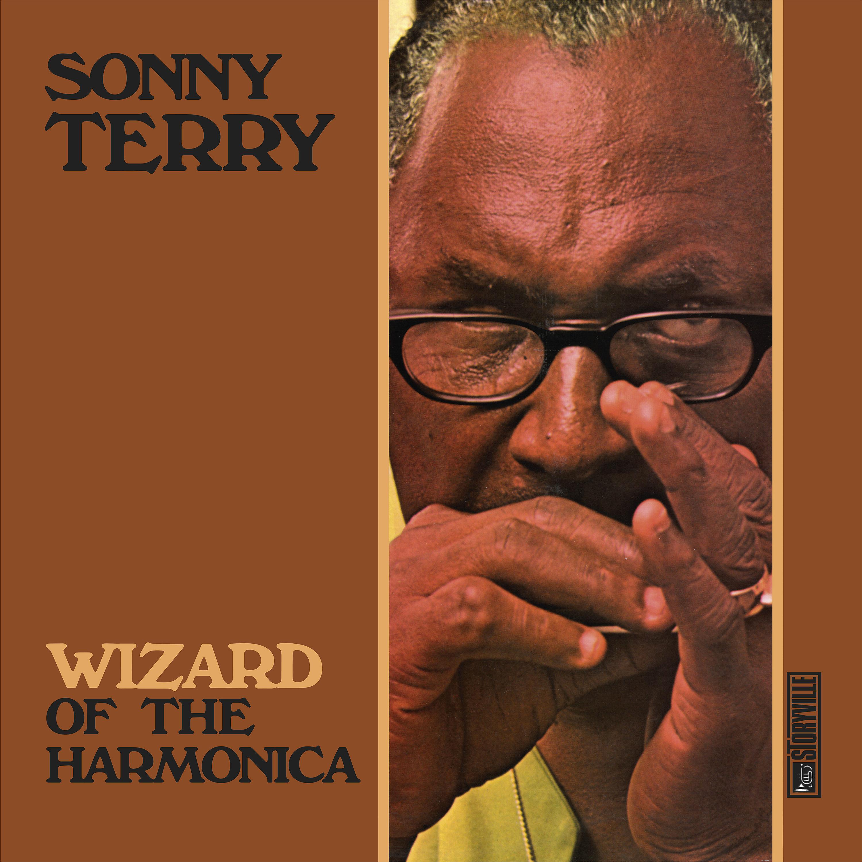 Постер альбома Wizard of the Harmonica