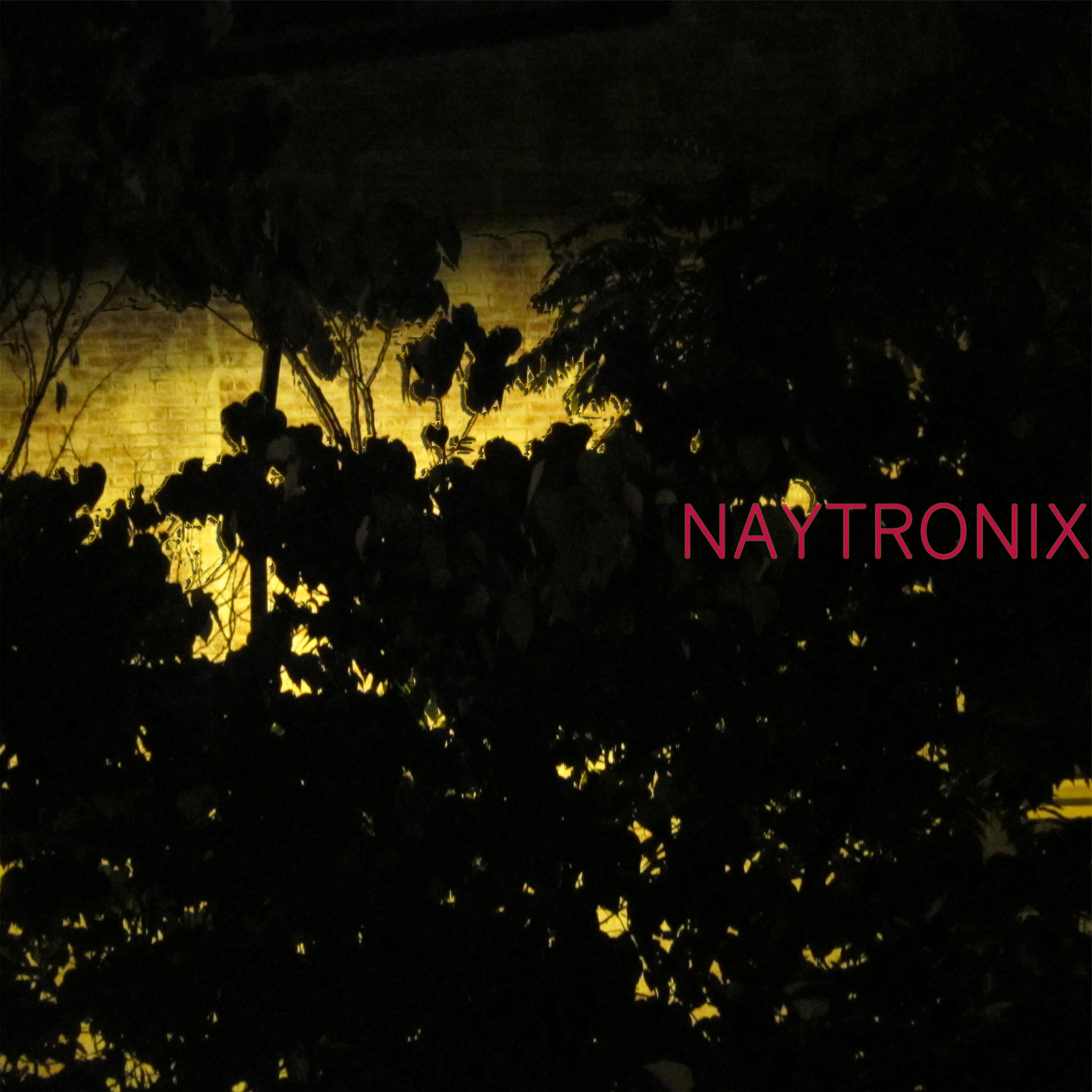 Постер альбома Naytronix