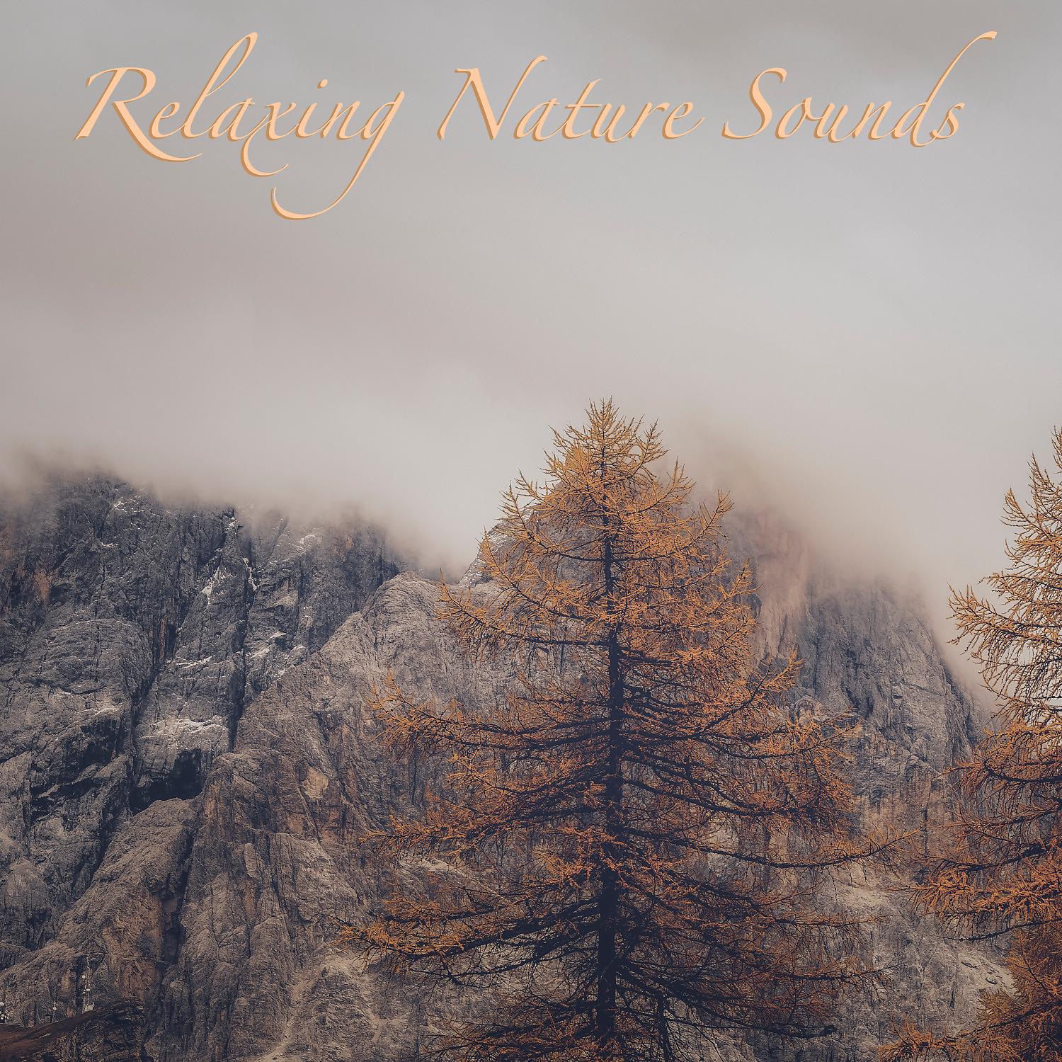 Постер альбома Relaxing Nature Sounds