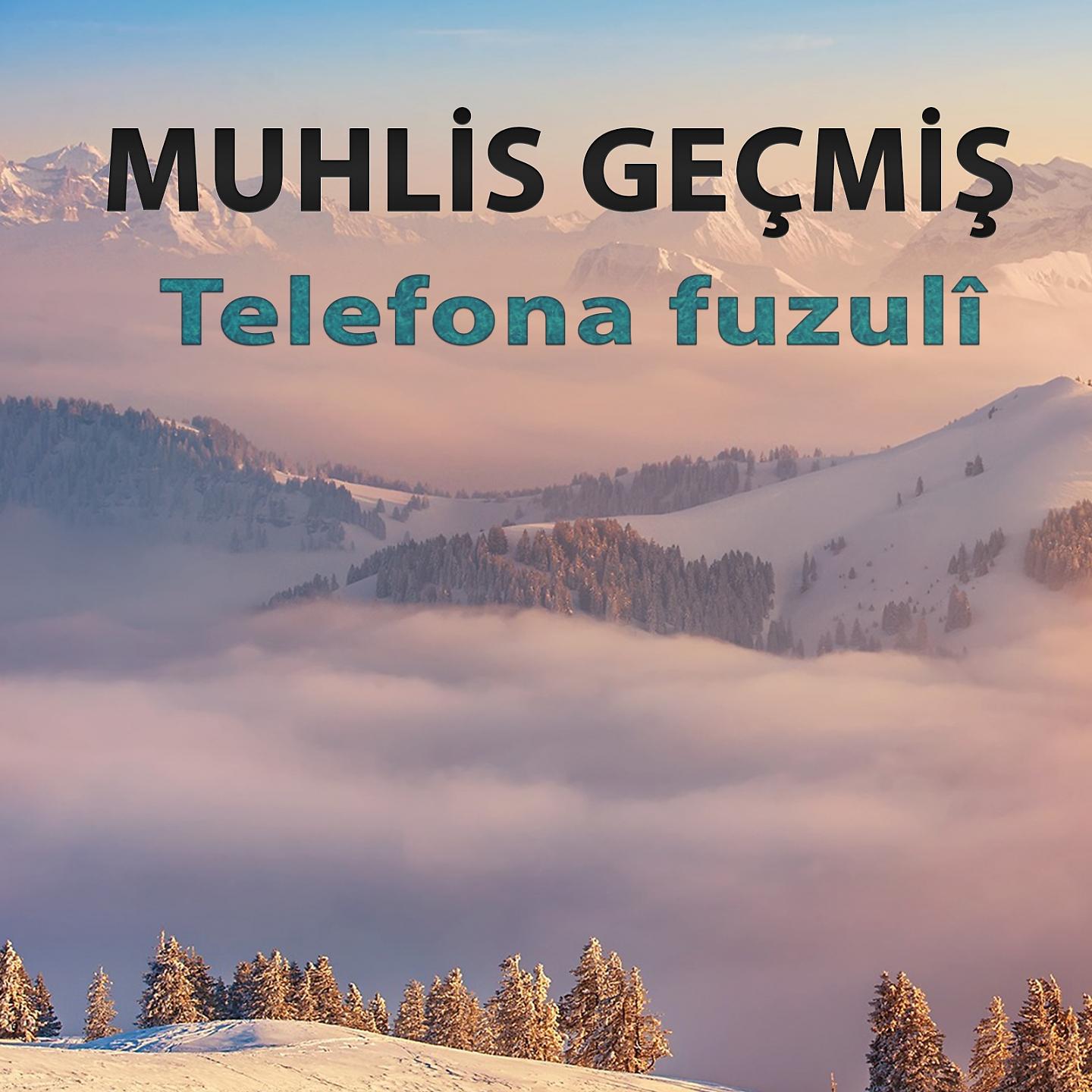 Постер альбома Telefona Fuzulî
