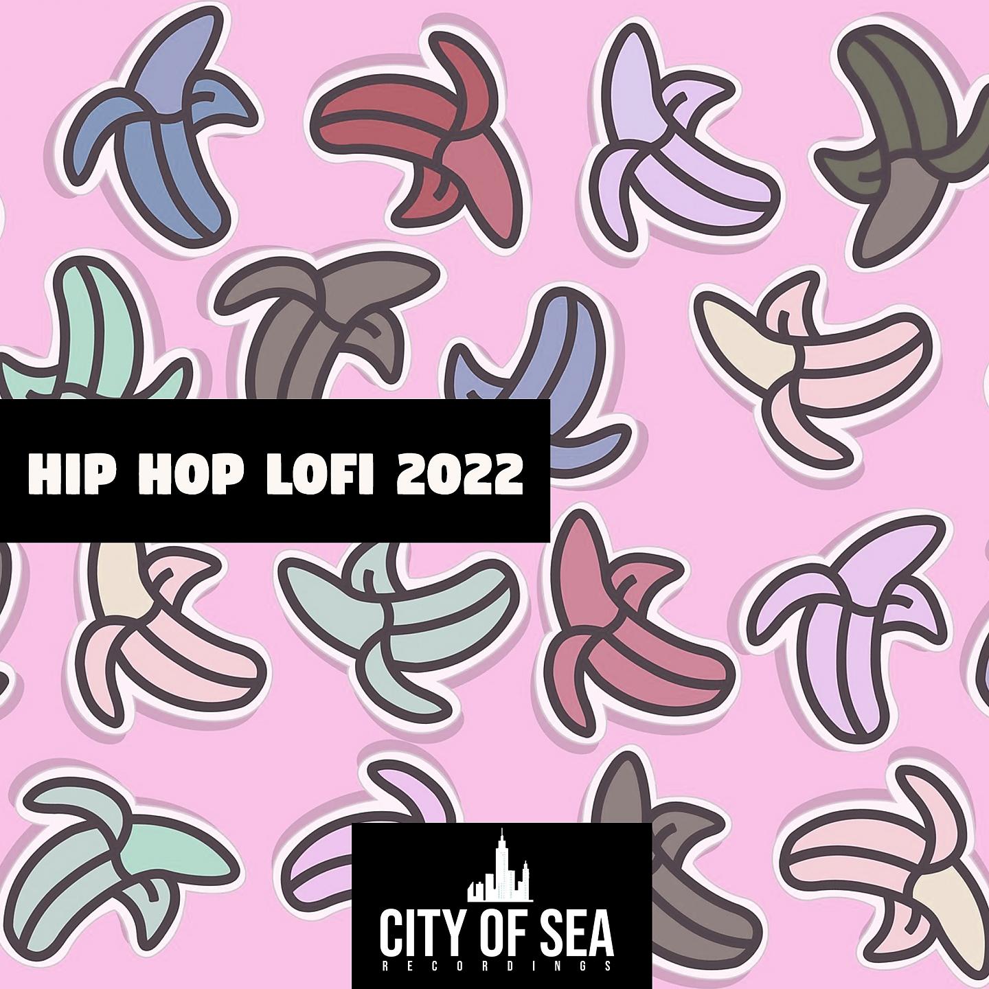 Постер альбома Hip Hop Lofi 2022