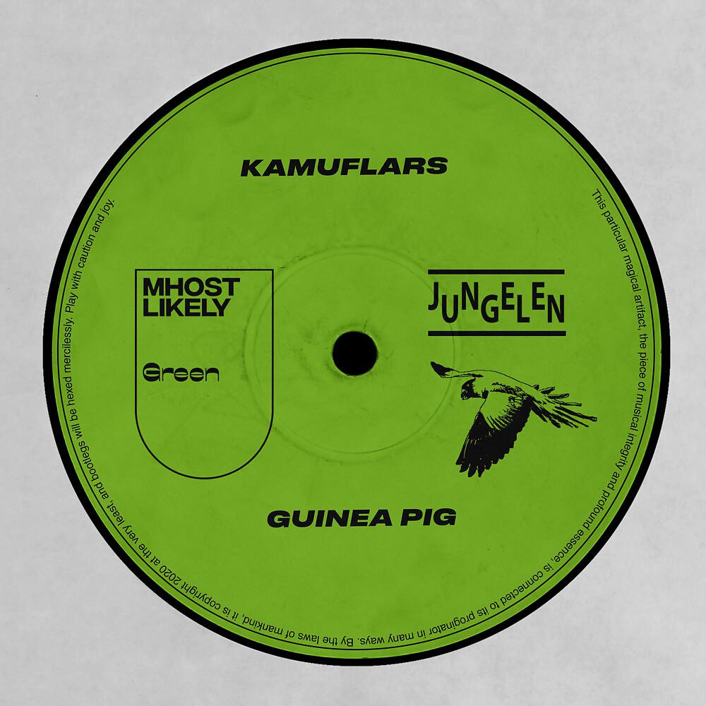 Постер альбома Guinea Pig
