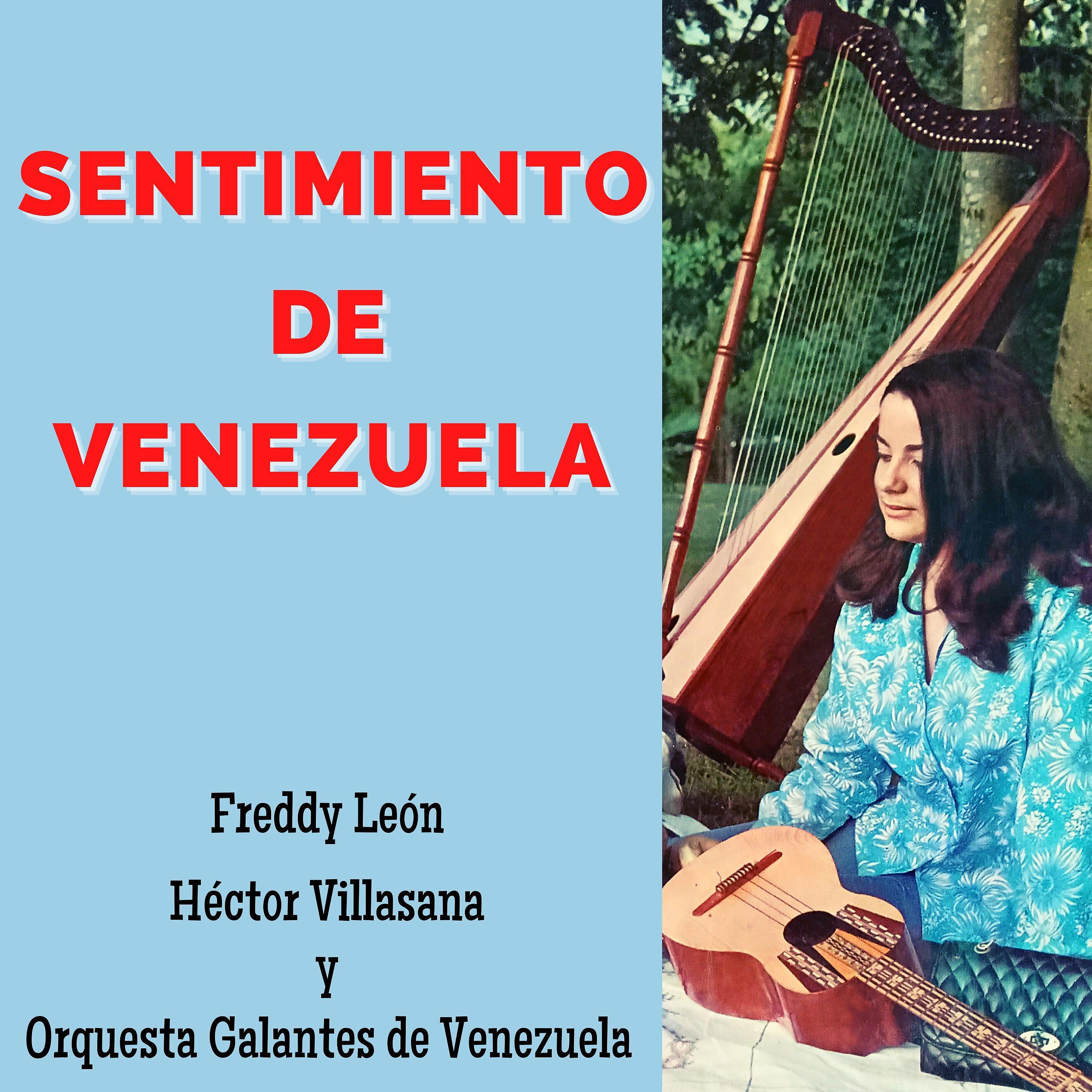 Постер альбома Sentimiento de Venezuela