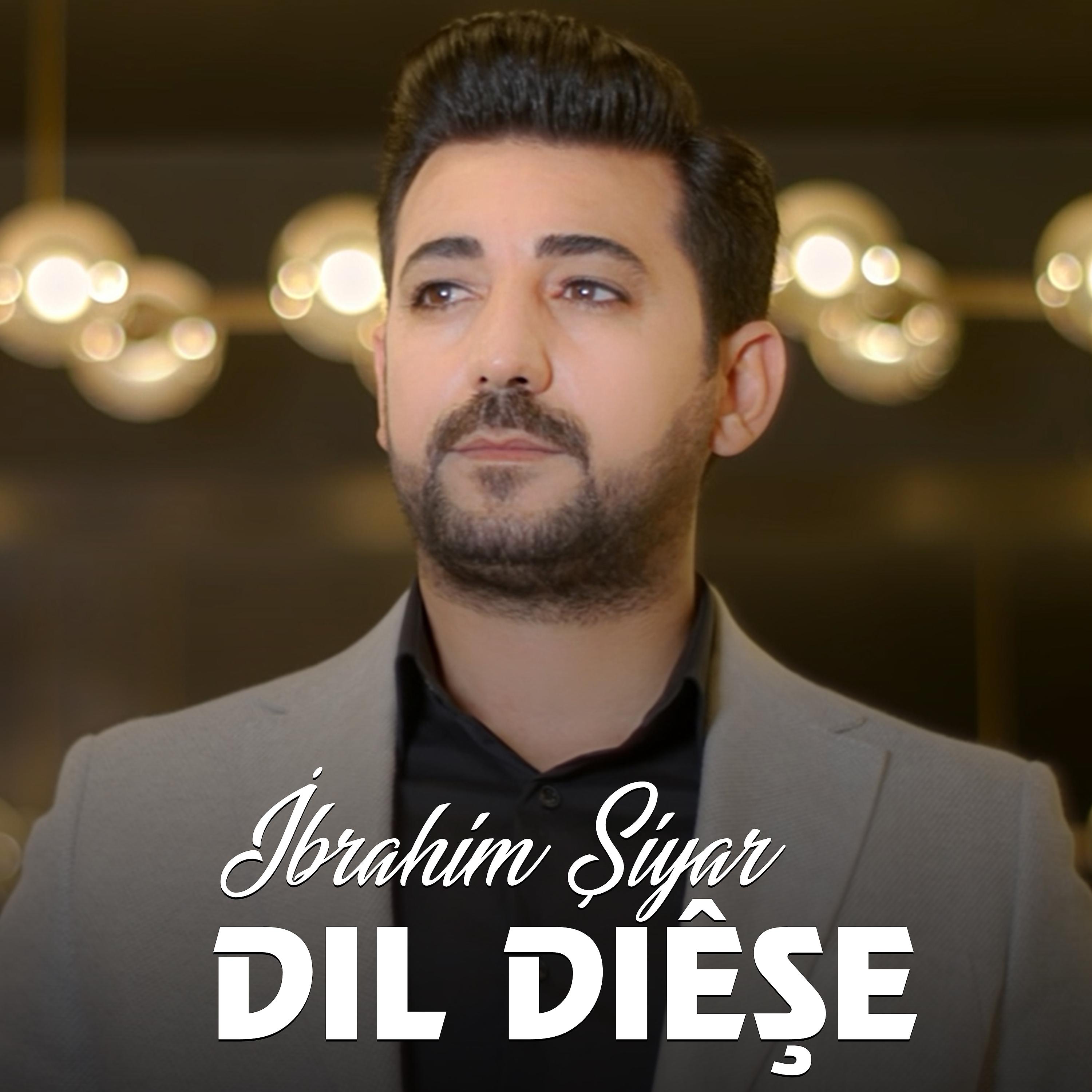 Постер альбома Dil Diêşe