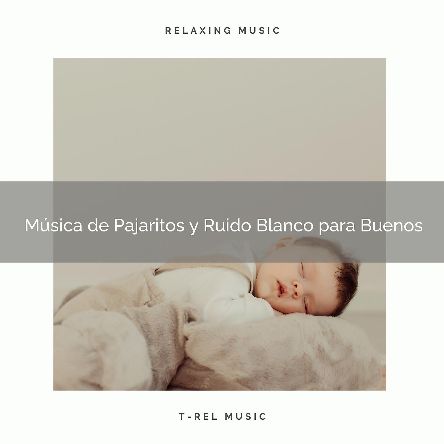 Постер альбома Música de Pajaritos y Ruido Blanco para Buenos