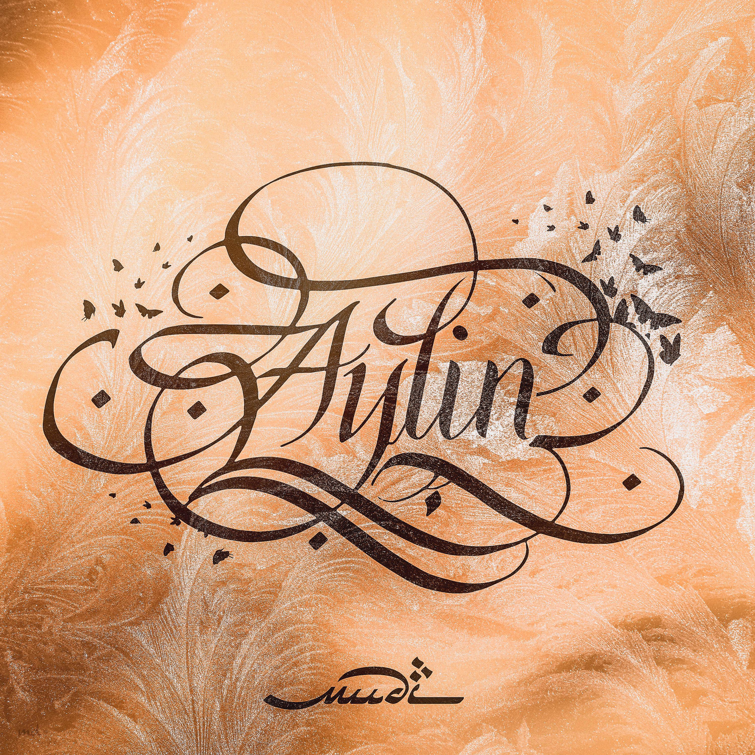 Постер альбома Aylin