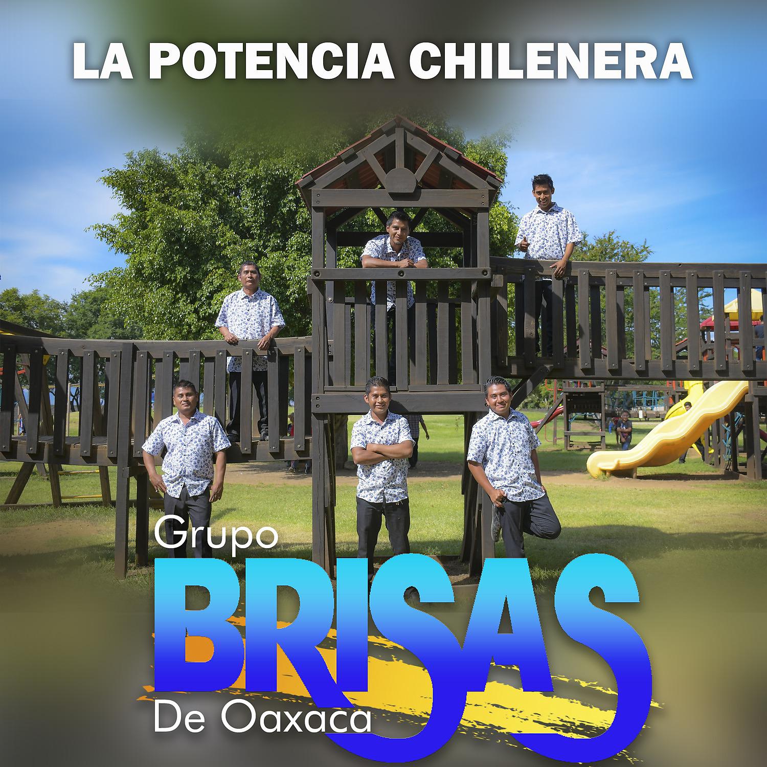 Постер альбома La Potencia Chilenera
