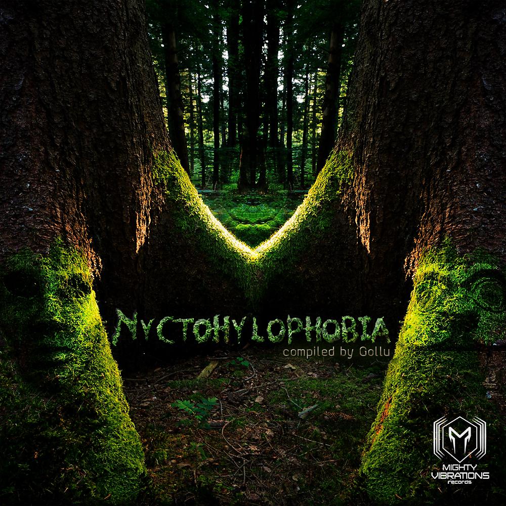 Постер альбома Nyctohylophobia