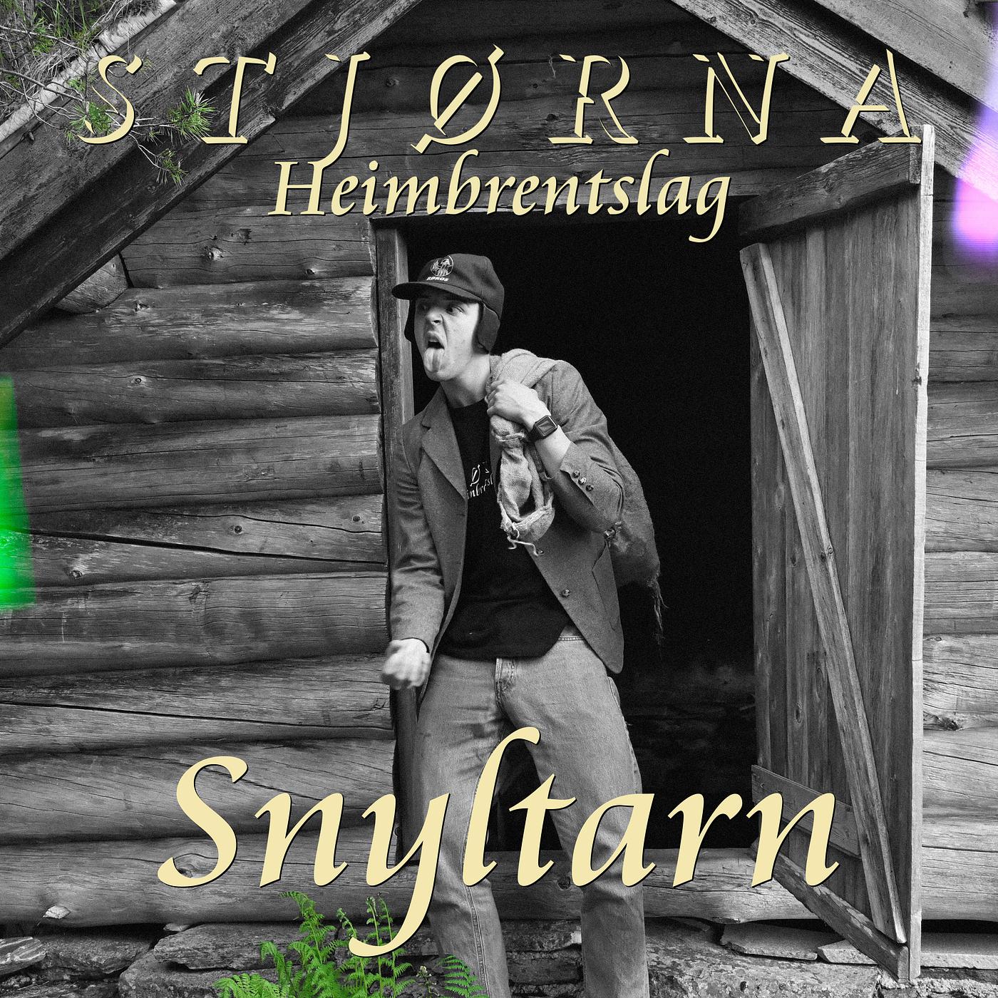 Постер альбома Snyltarn
