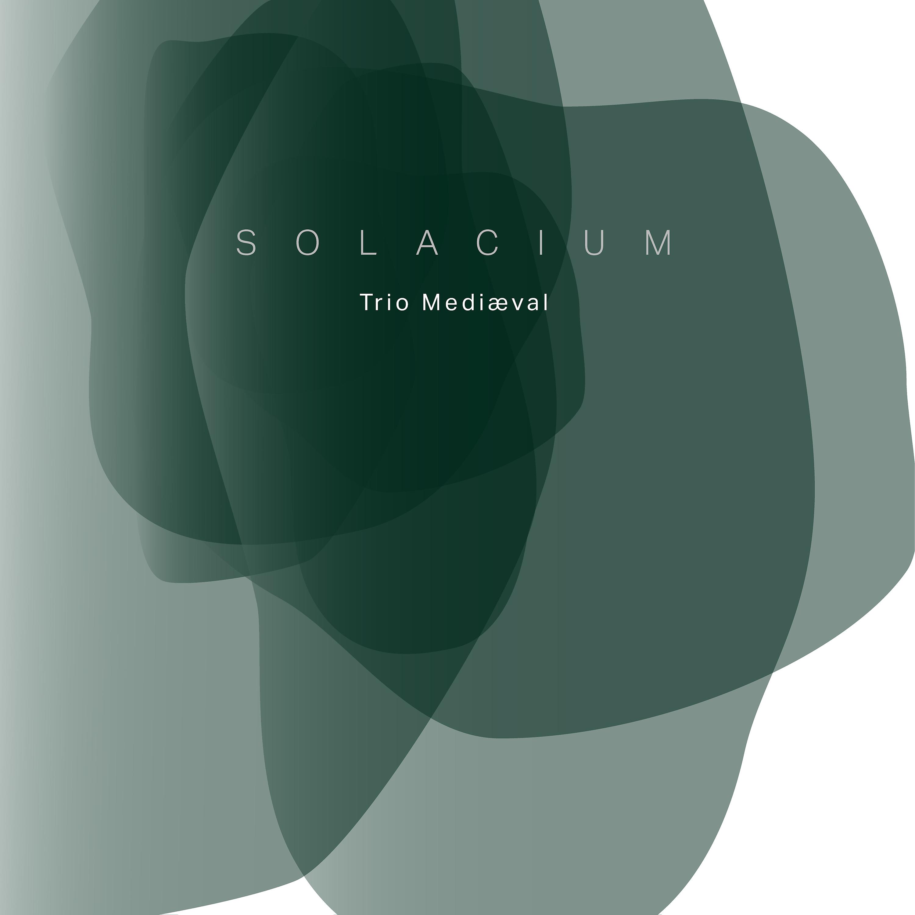 Постер альбома Solacium