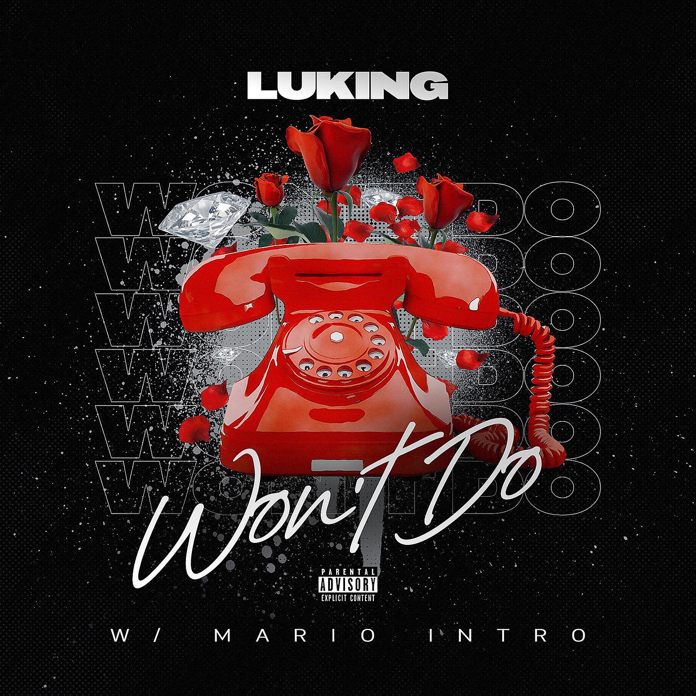 Постер альбома Luking Won’t Do W / Mario Intro