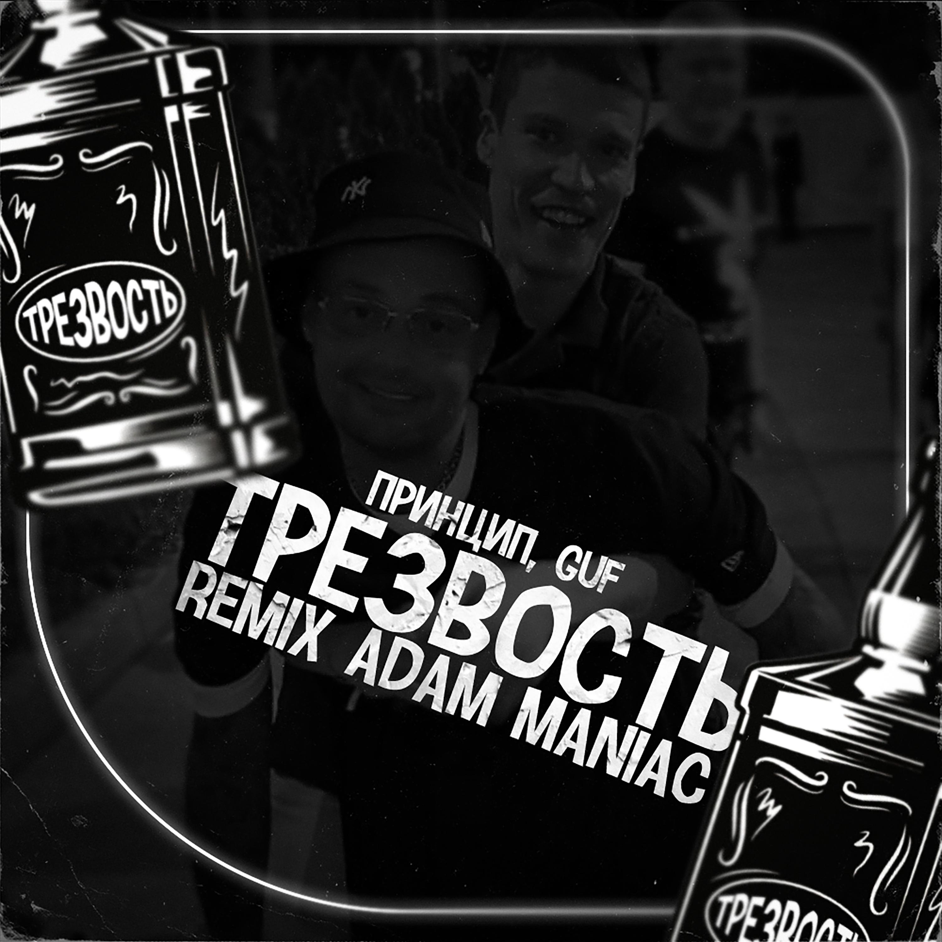 Постер альбома Трезвость (Adam Maniac Remix)