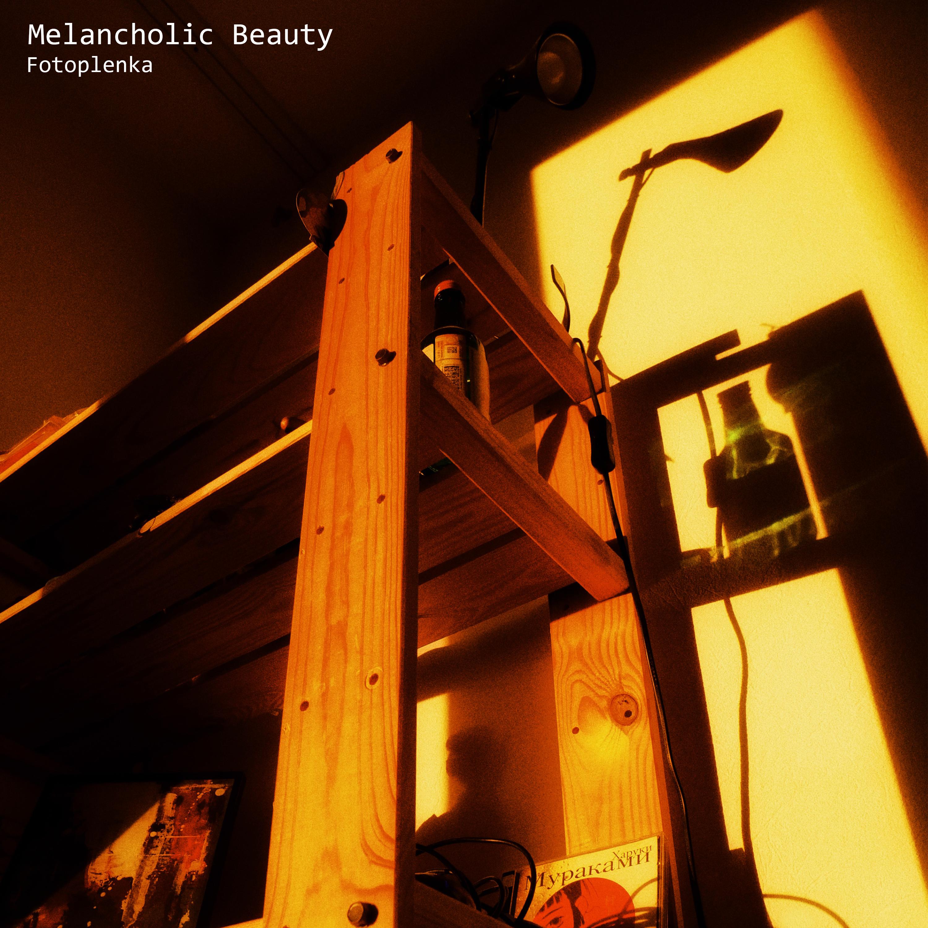 Постер альбома Melancholic Beauty