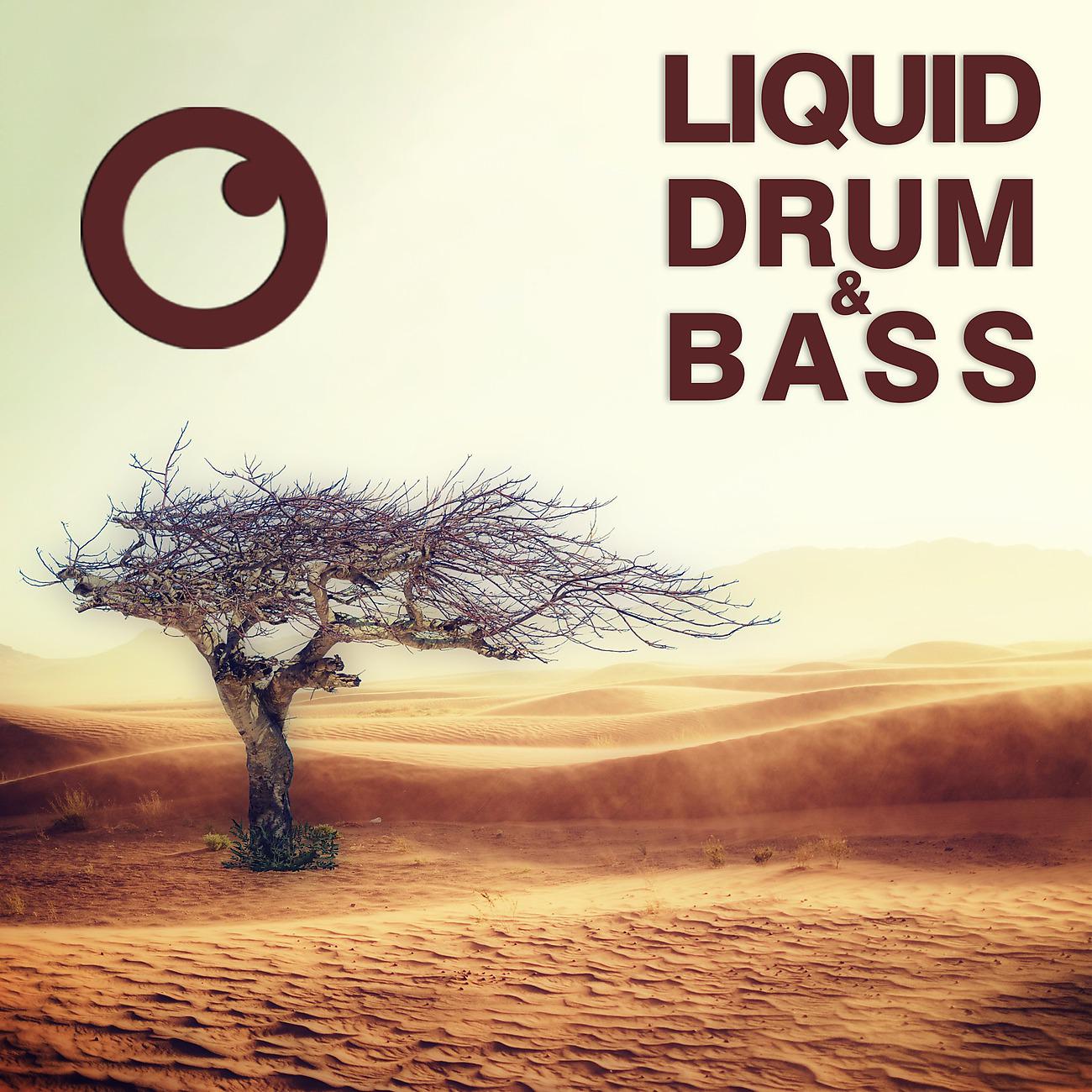Постер альбома Liquid Drum & Bass Sessions #59