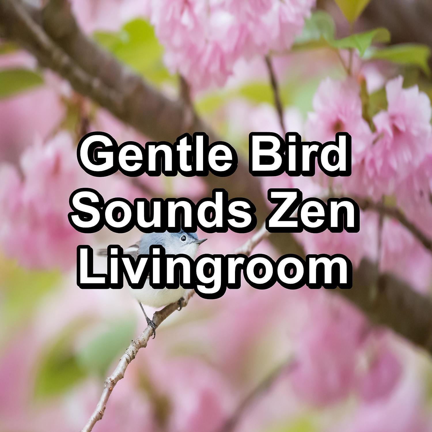 Постер альбома Gentle Bird Sounds Zen Livingroom