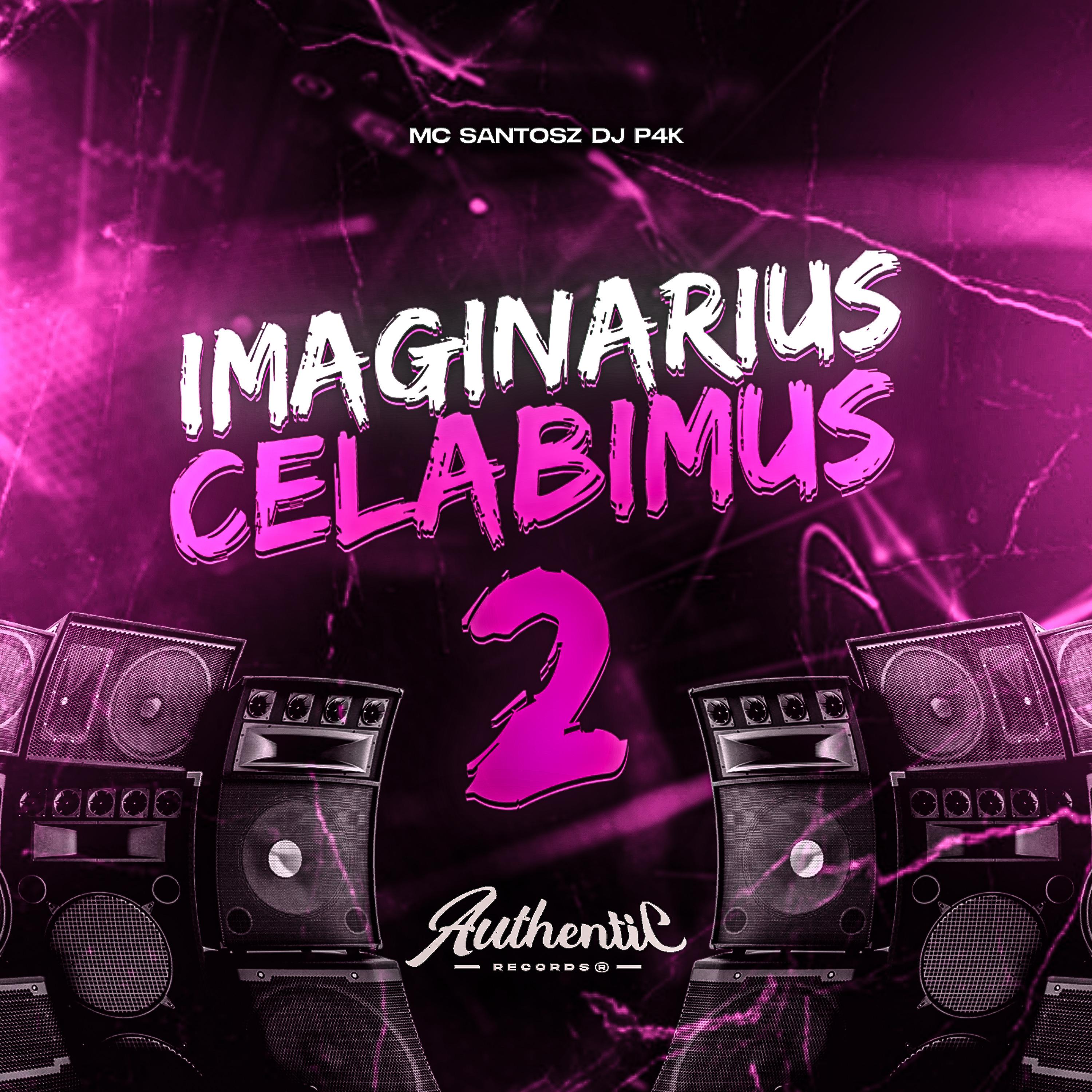Постер альбома Imaginarius Celabimus 2