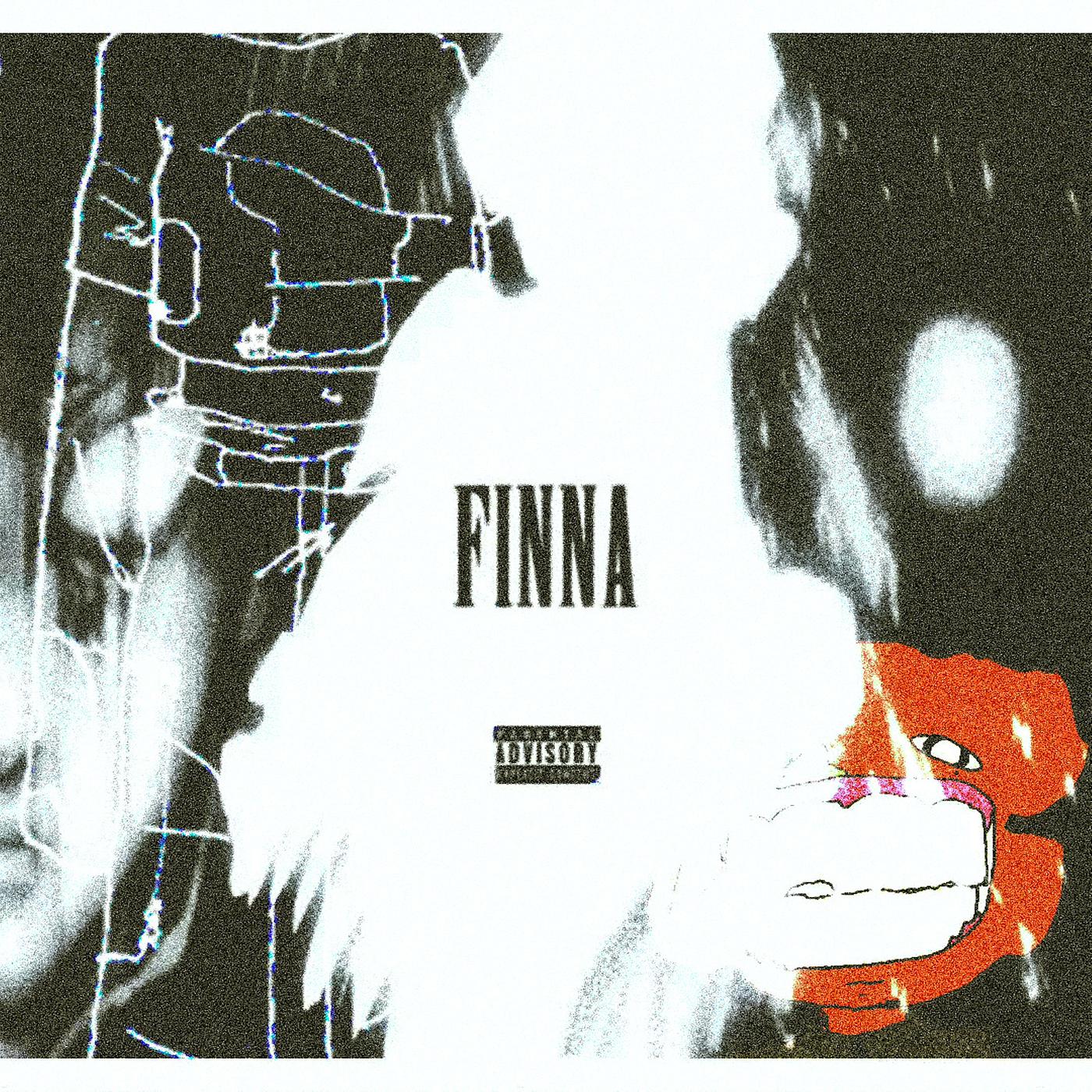 Постер альбома Finna
