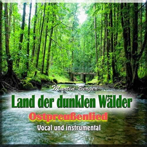 Постер альбома Land der dunklen Wälder