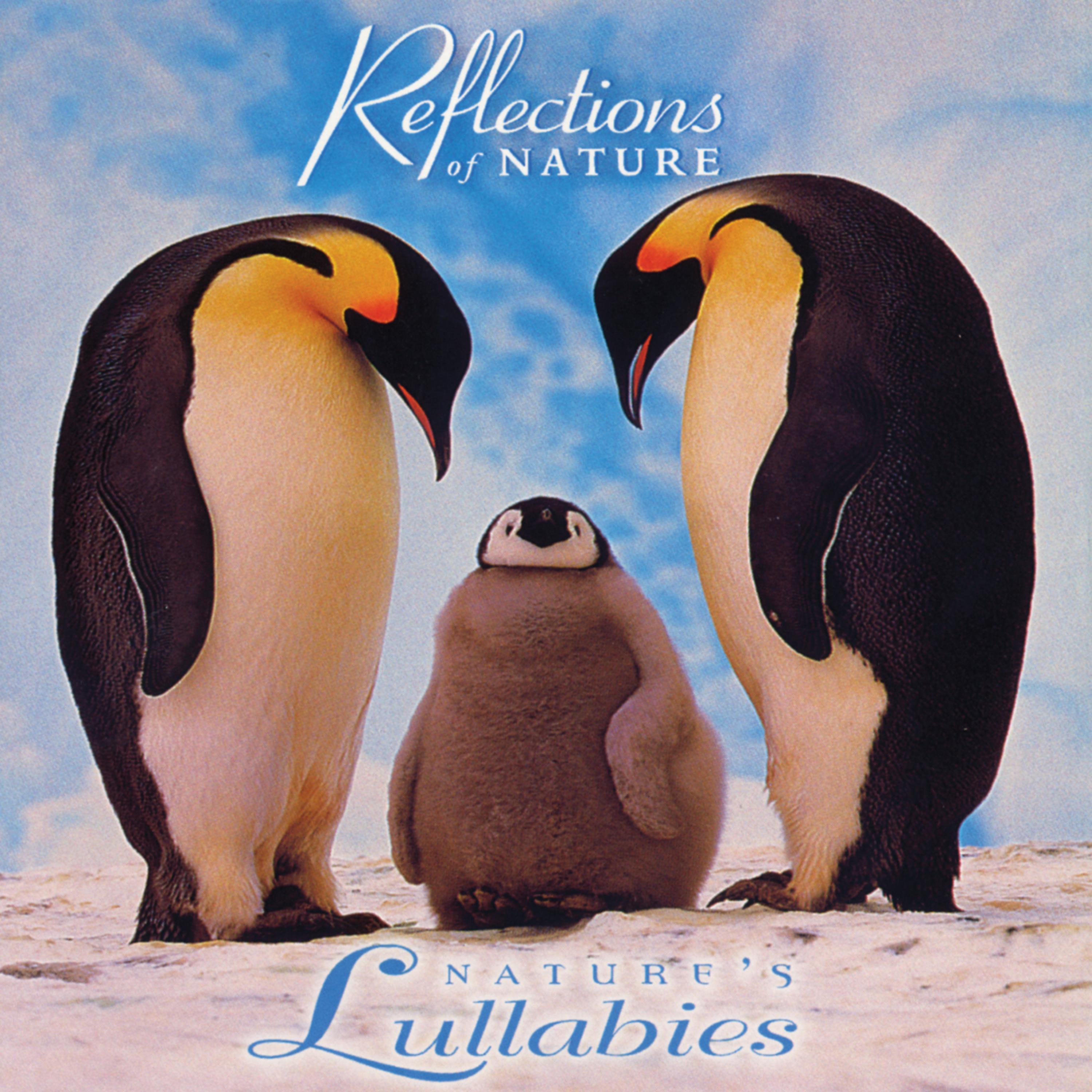 Постер альбома Nature's Lullabies