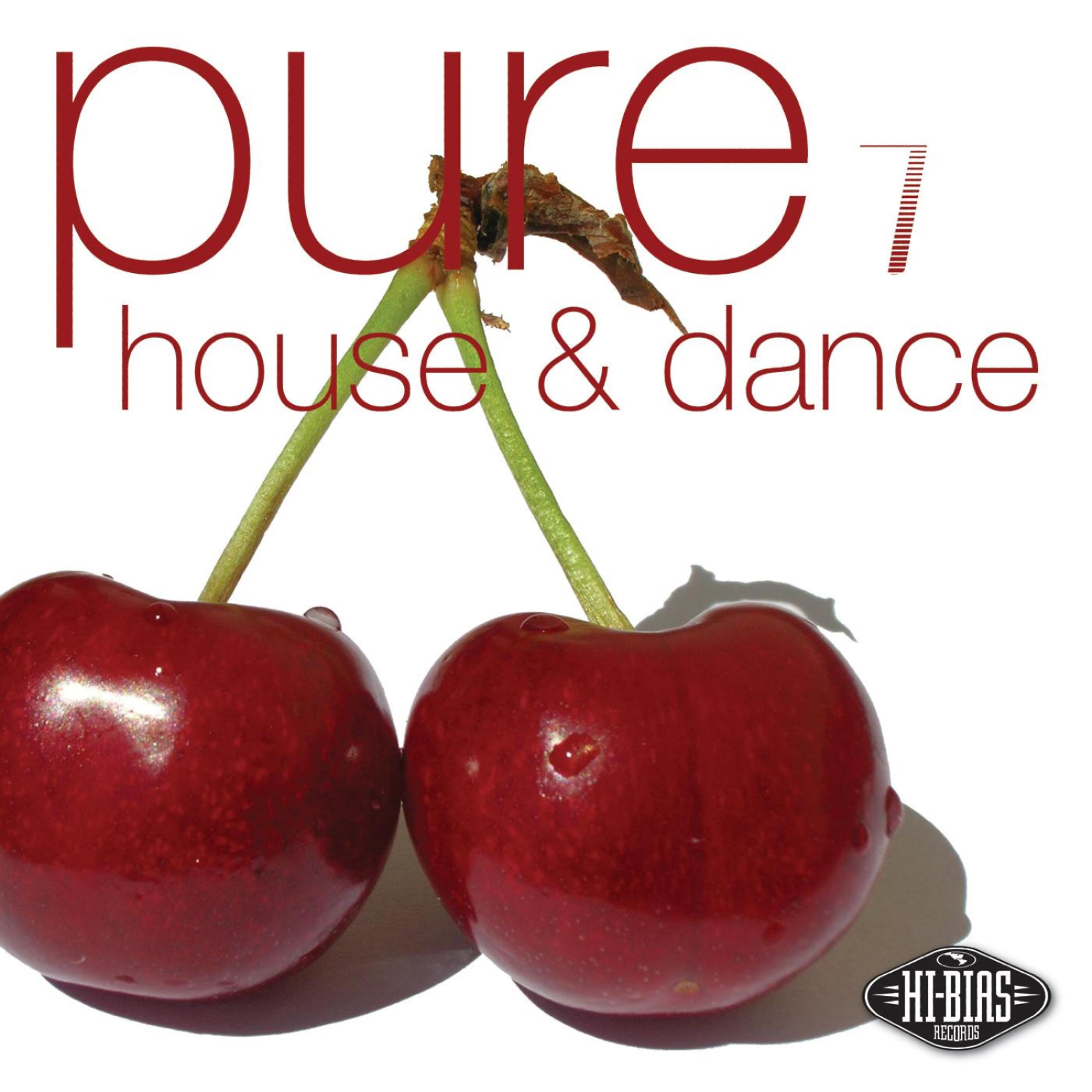 Постер альбома Hi-Bias: Pure House & Dance 7