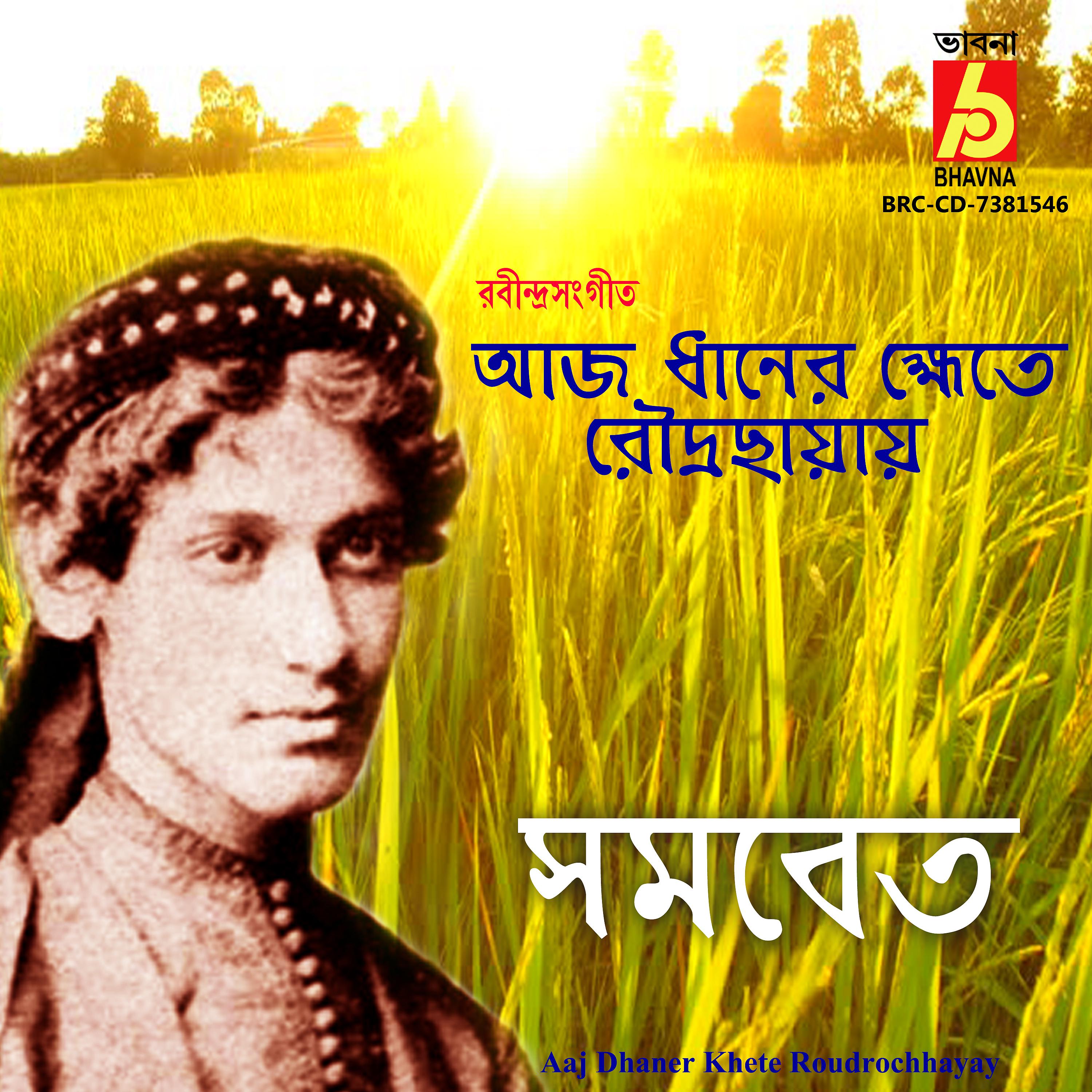 Постер альбома Aaj Dhaner Khete Roudrochhayay