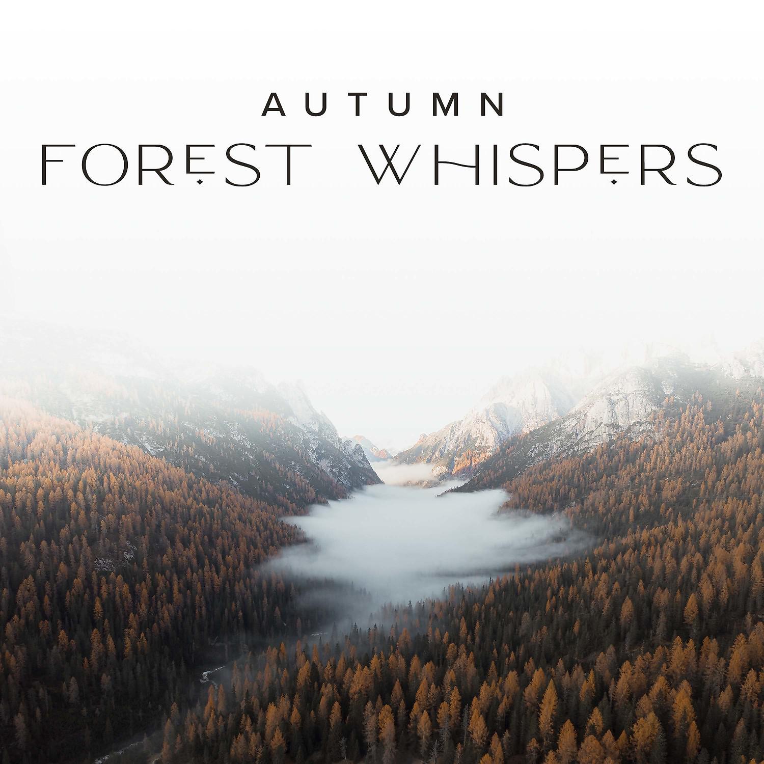 Постер альбома Autumn Forest Whispers Meditation – Nature and Rain Sounds, Relaxation & Deep Sleep