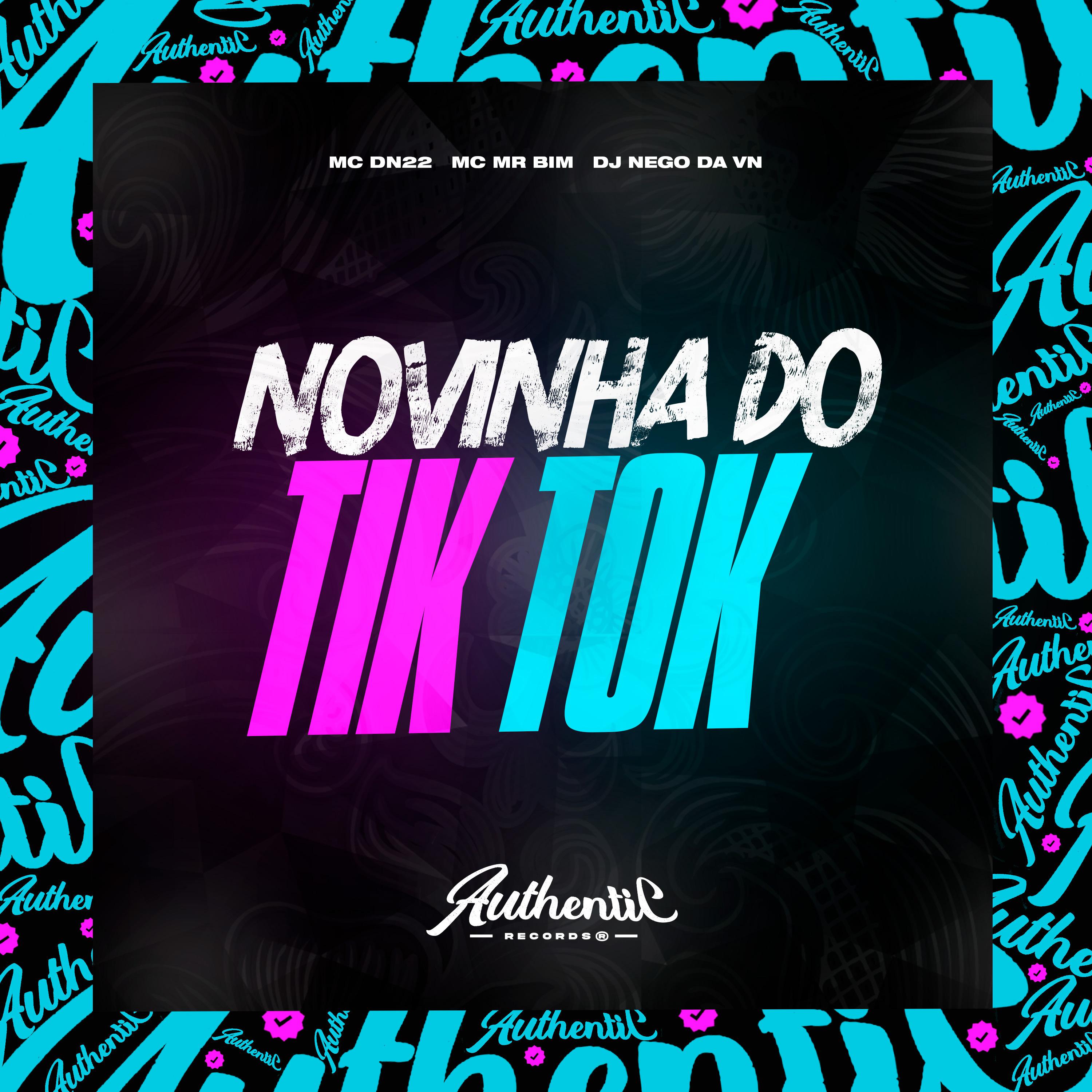 Постер альбома Novinha do Tik Tok