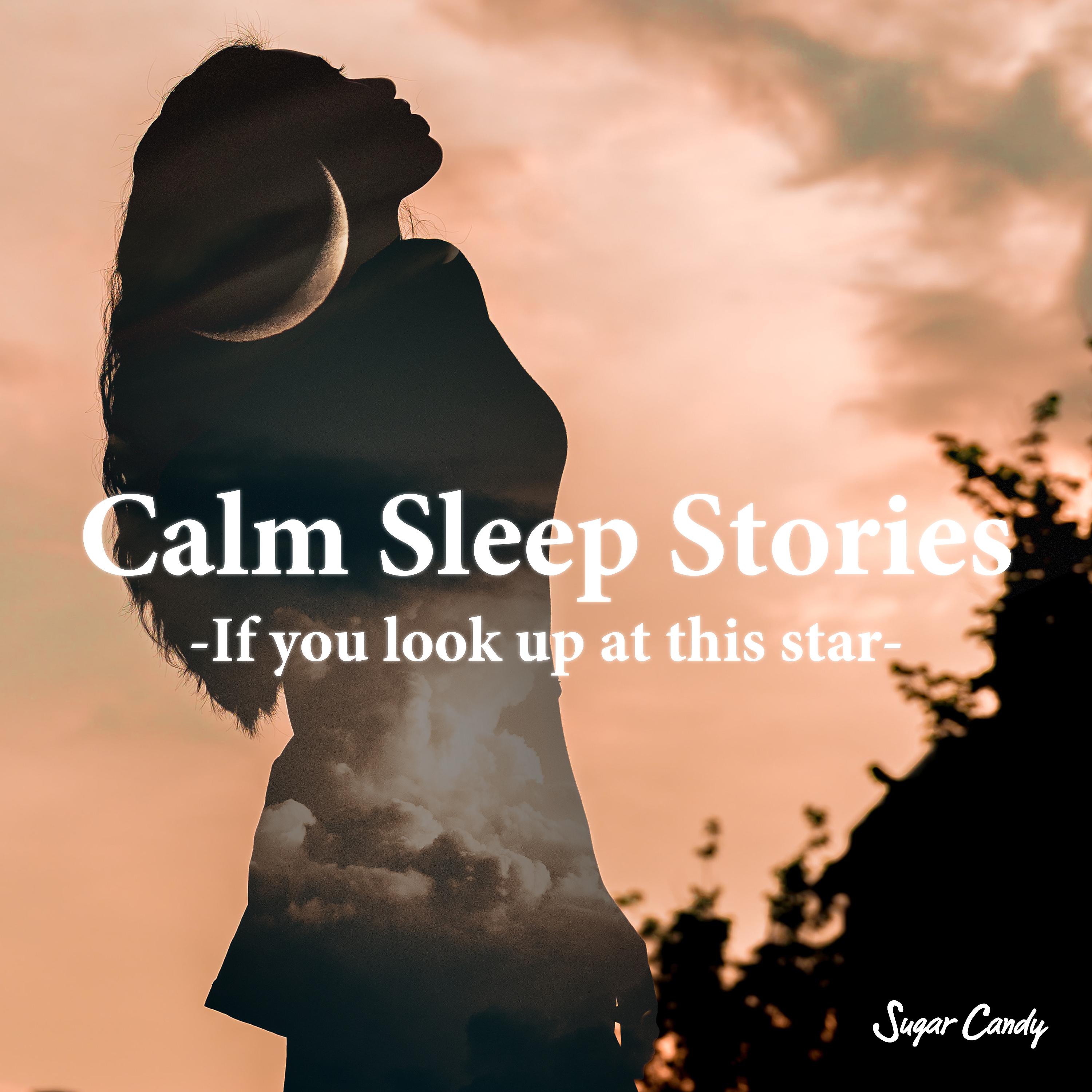 Постер альбома Calm Sleep Stories - If You Look up at This Star-