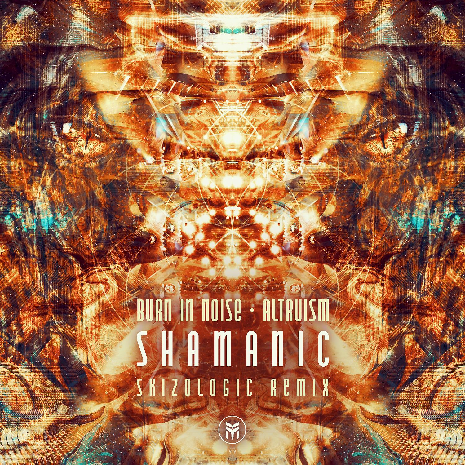 Постер альбома Shamanic (Skizologic Remix)