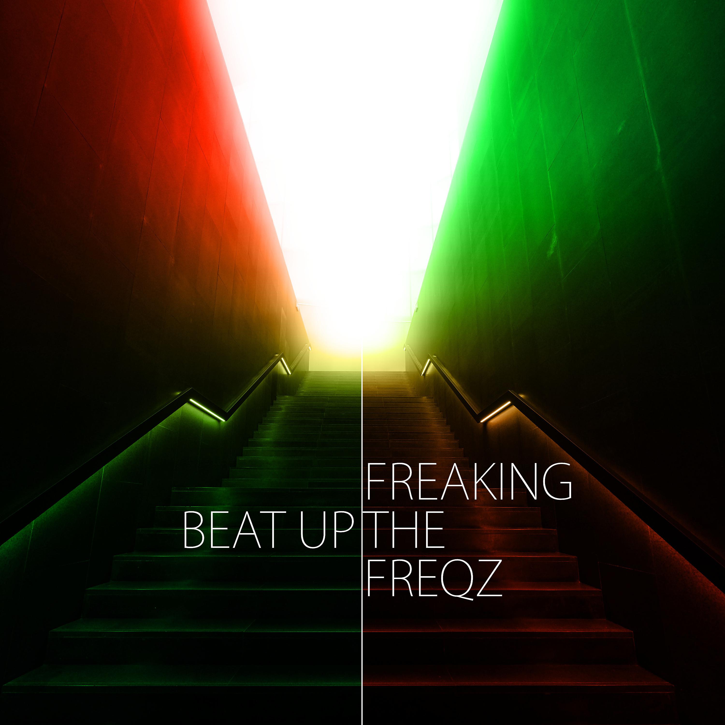 Постер альбома Freaking The Freqz