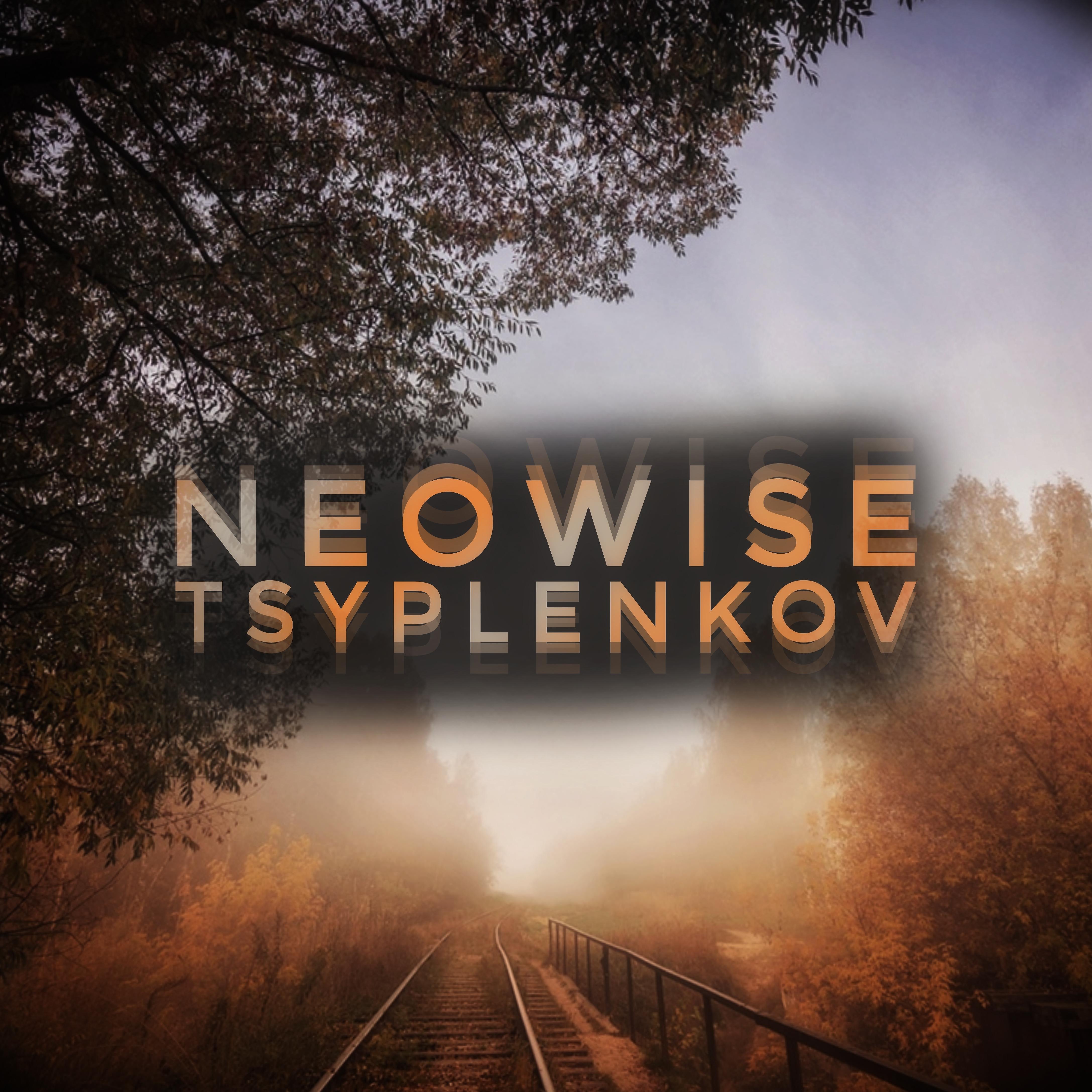 Постер альбома Neowise
