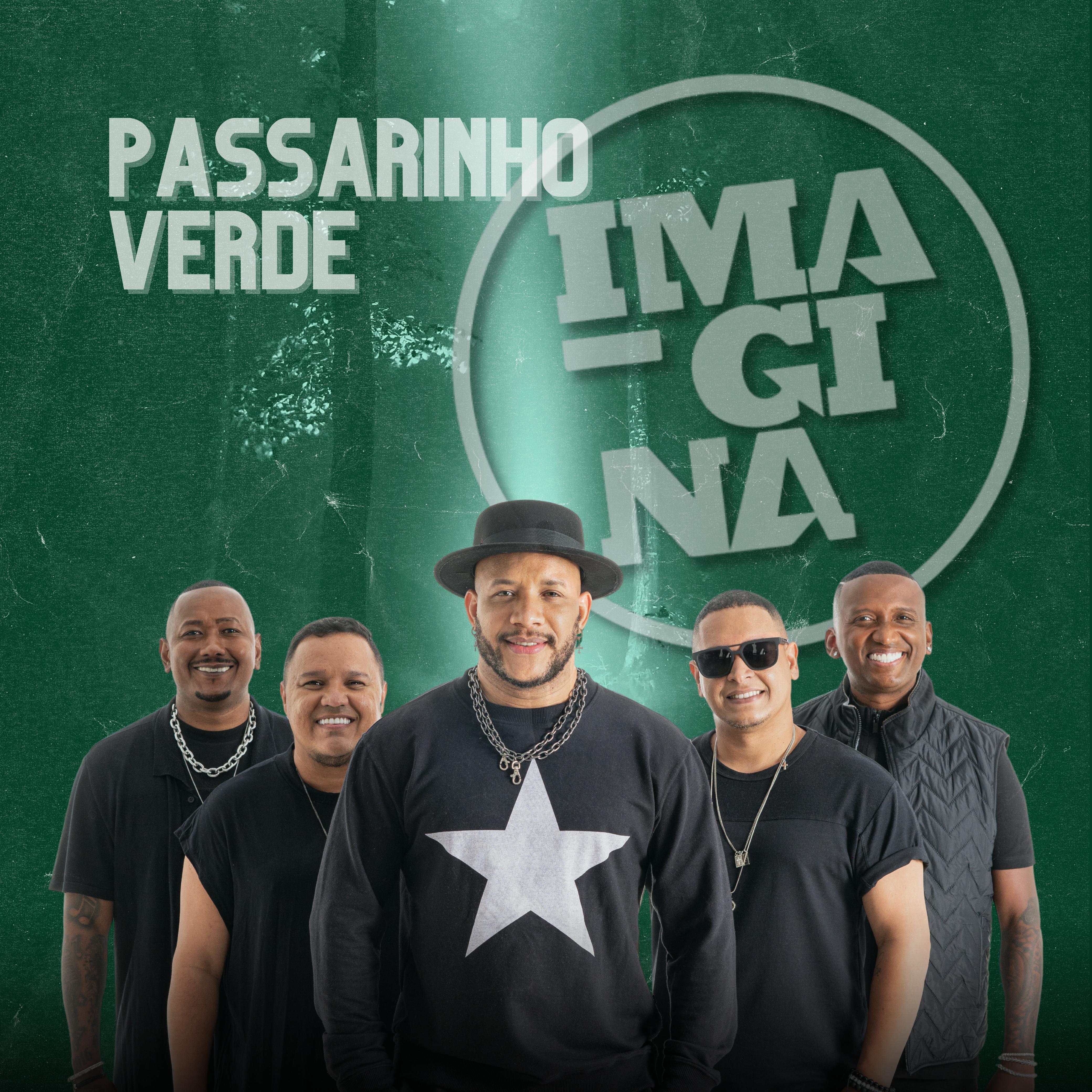 Постер альбома Passarinho Verde