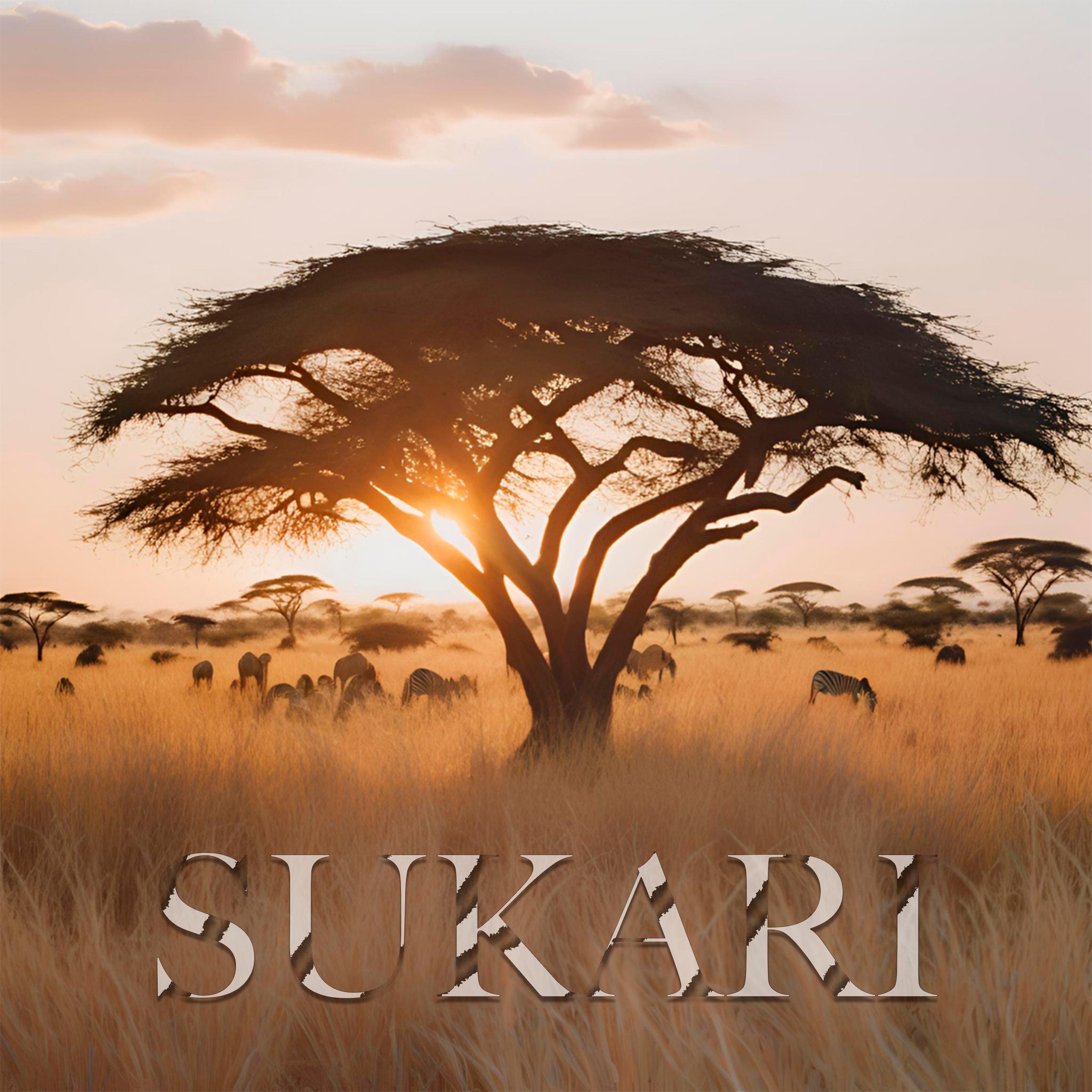 Постер альбома Sukari