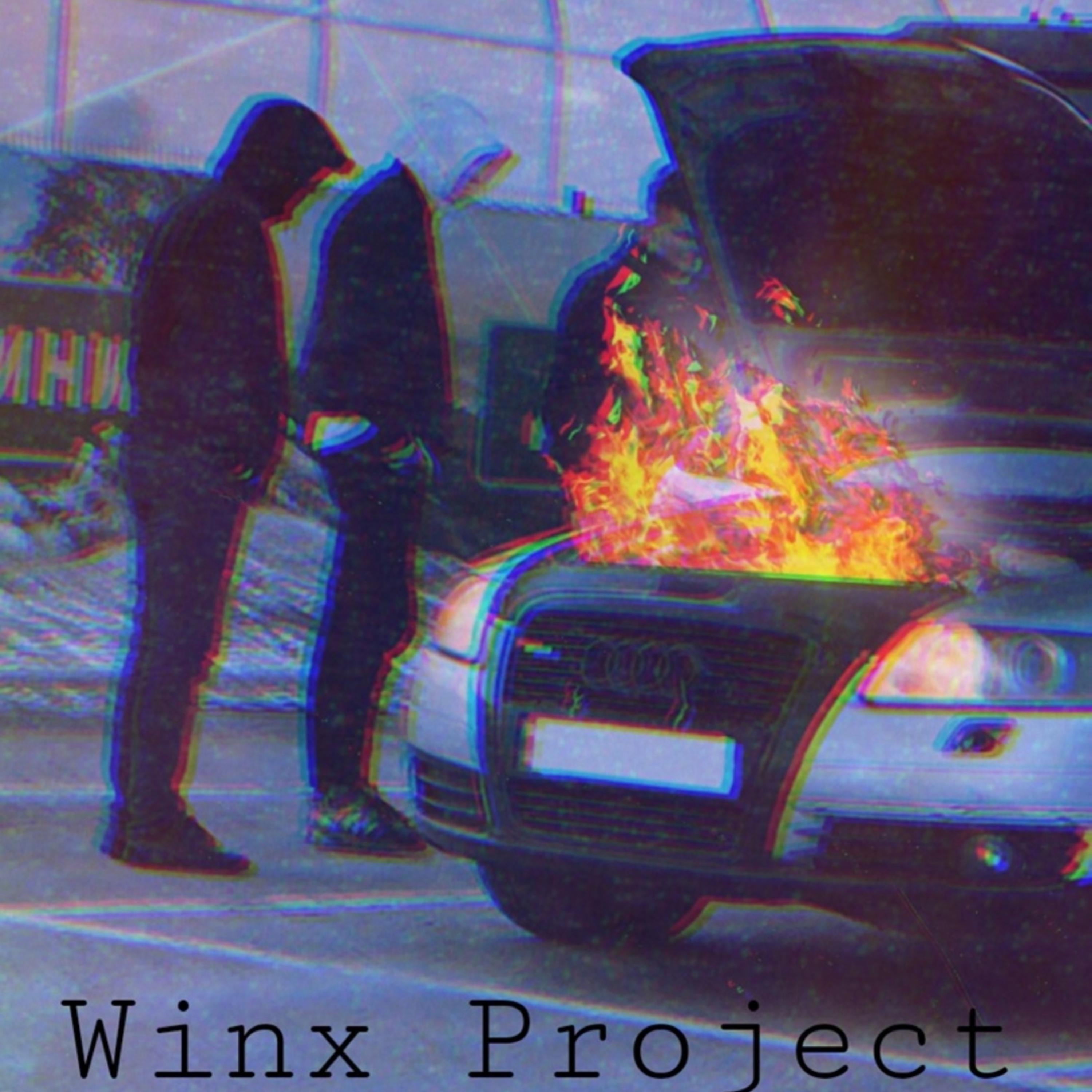 Постер альбома Winx Project