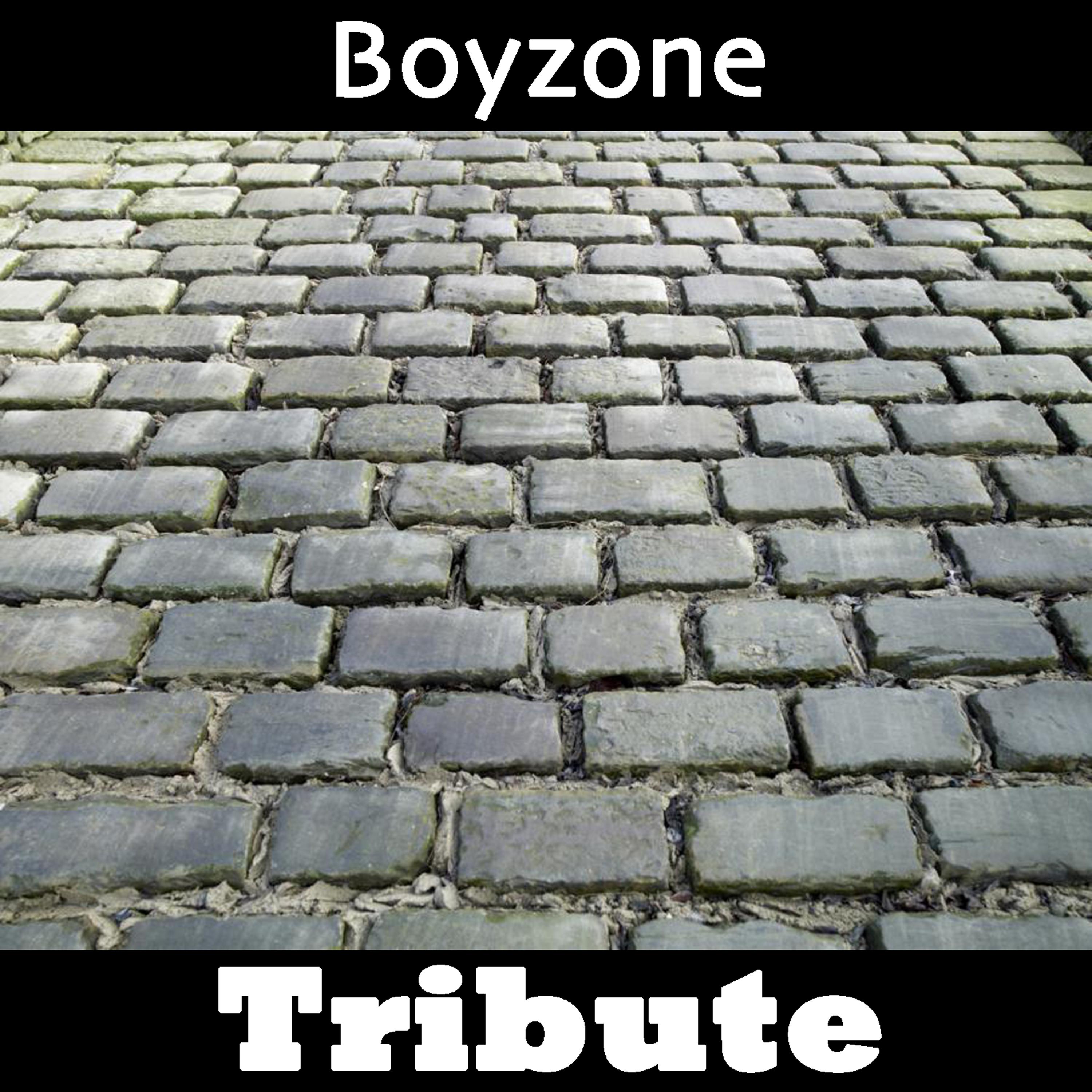 Постер альбома All That I Need: Tribute to Boyzone