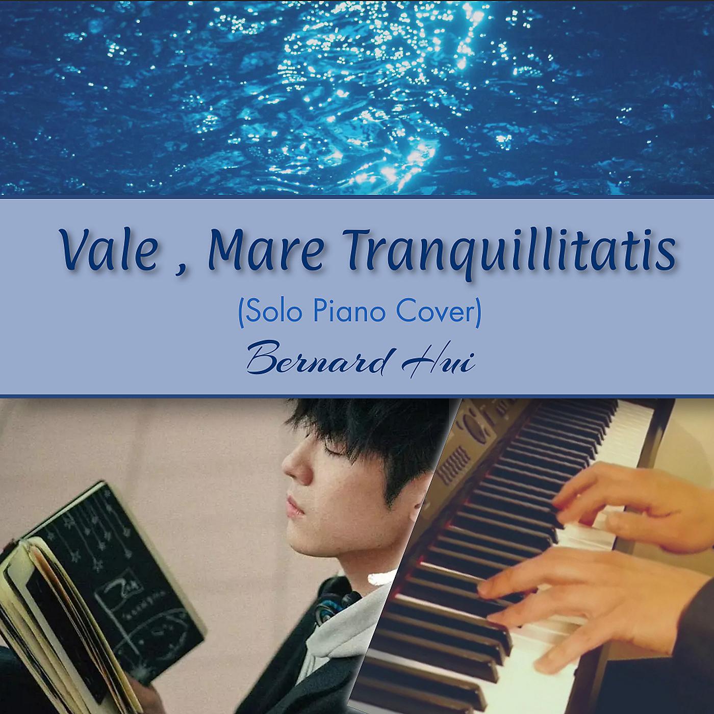 Постер альбома Vale, Mare Tranquillitatis (Solo Piano Cover)